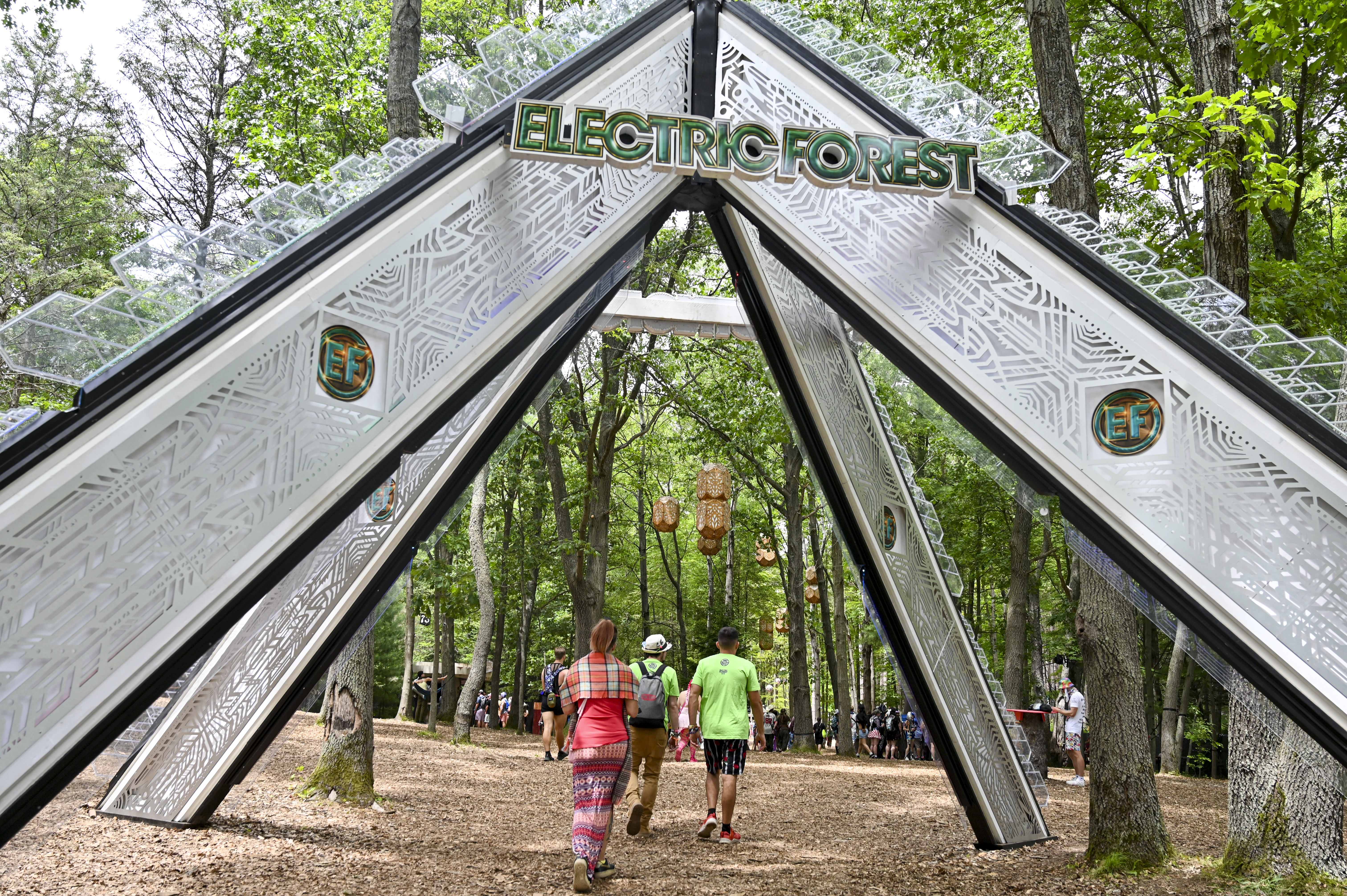 Electric Forest 2026: Scenes from Day 2 - mlive.com