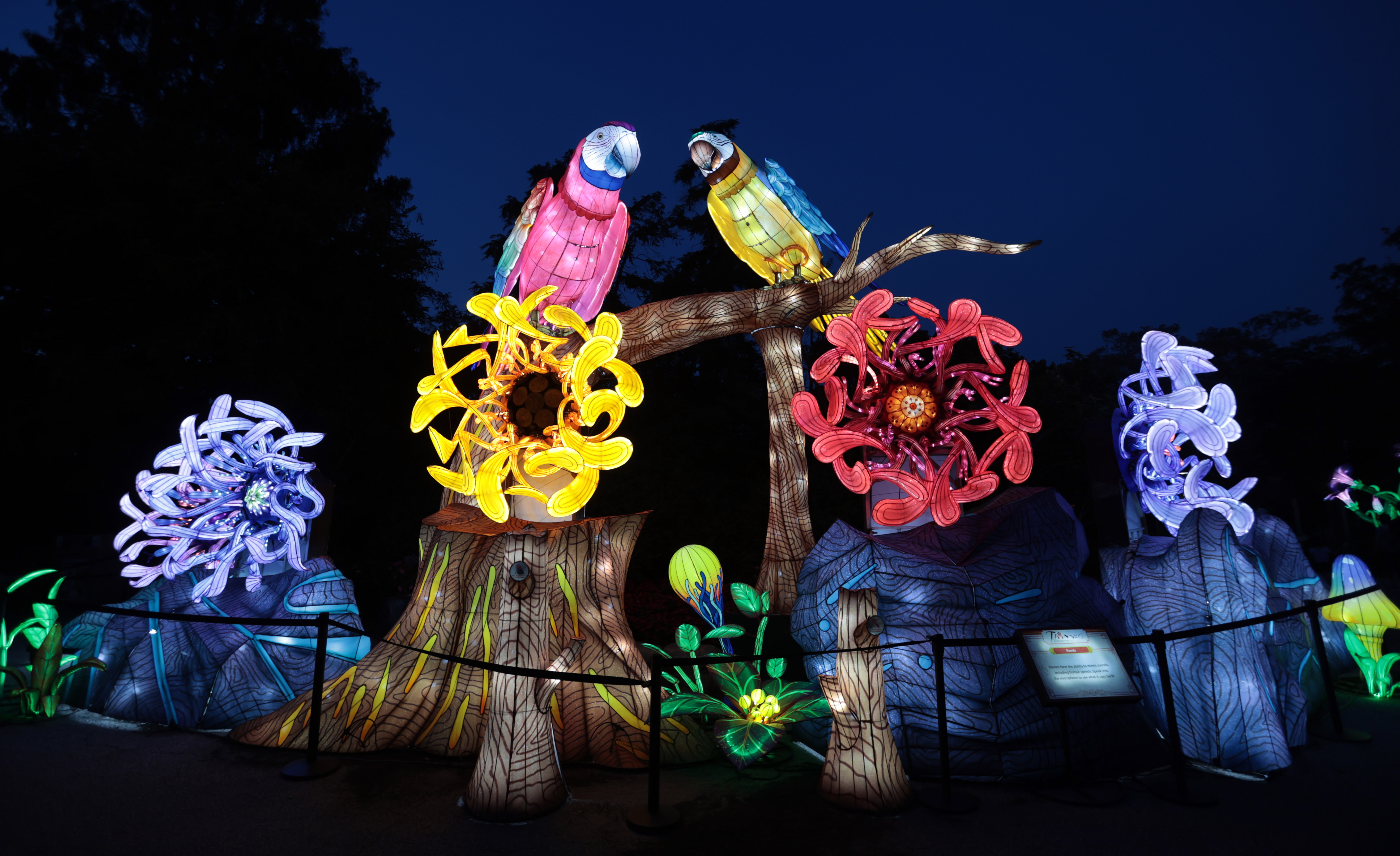 Asian Lantern Festival returns to Cleveland Metroparks Zoo, July 5