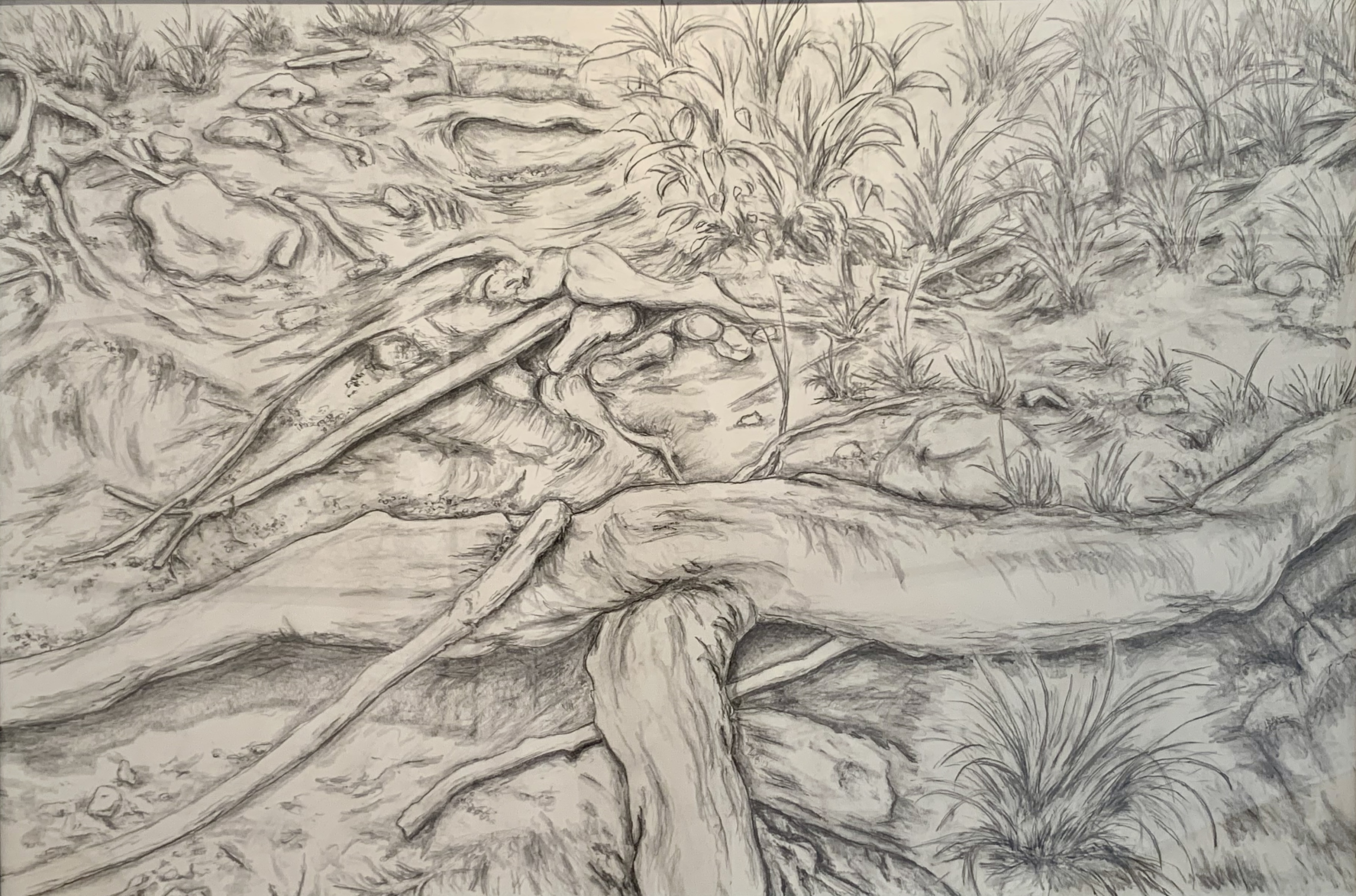 Lawrence Baker dominates threeperson landscape show with Brinsley Tyrrell and Joseph O'Sickey