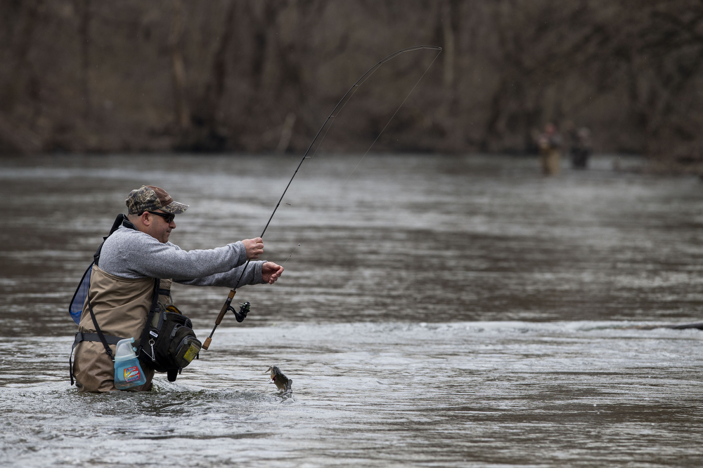 Fly Fishing, Fishing Trips, Pilot Cove