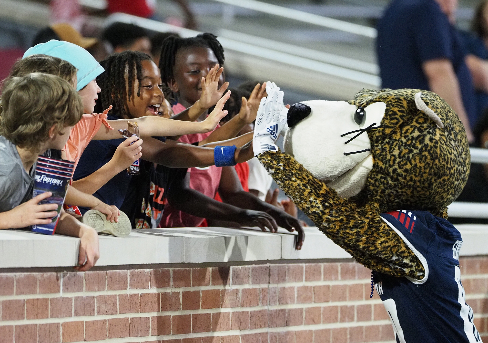 Annual Fan Fest Set for Saturday - Georgia Southern University