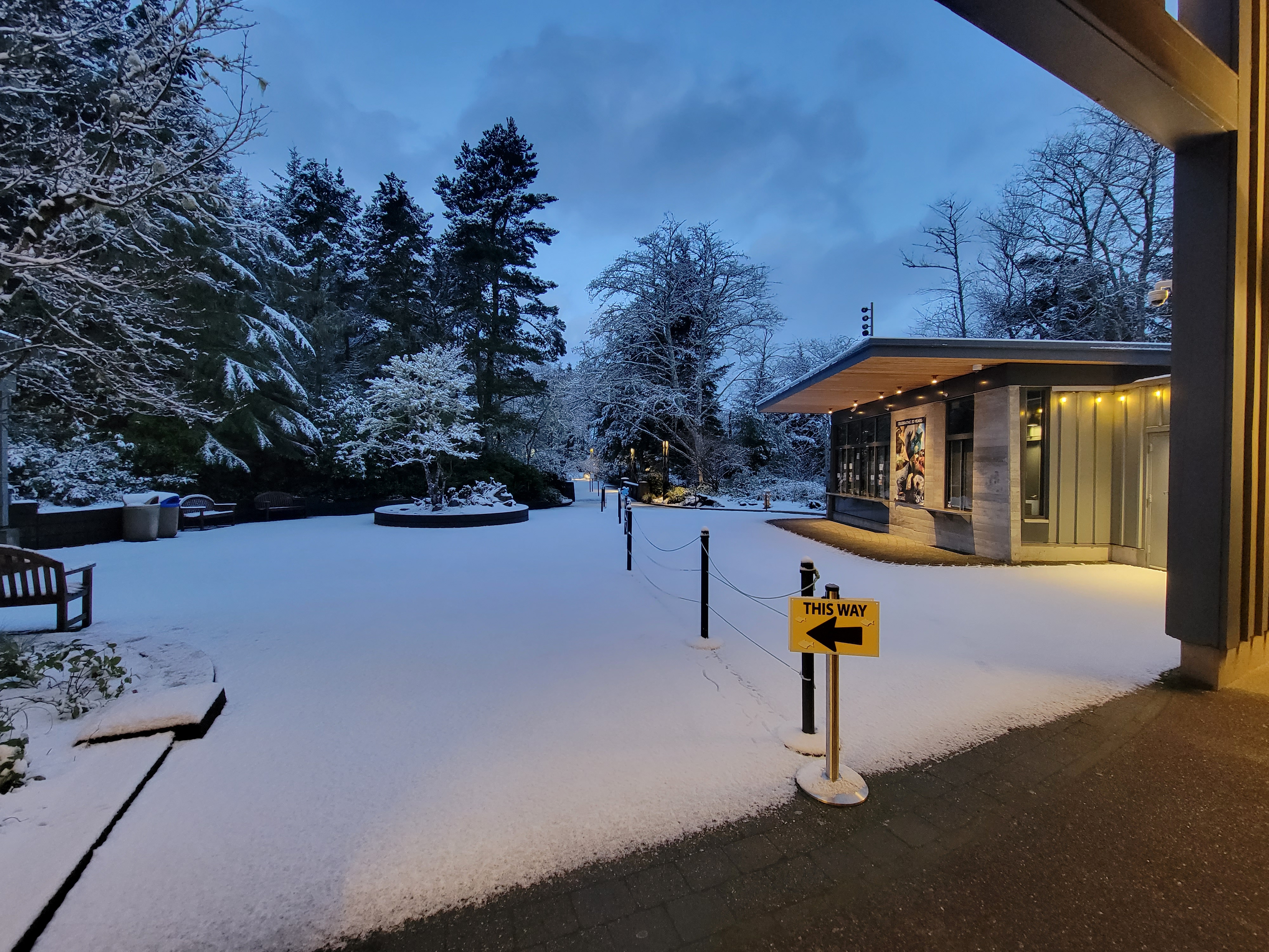 Rare snowfall hits Oregon coast - oregonlive.com