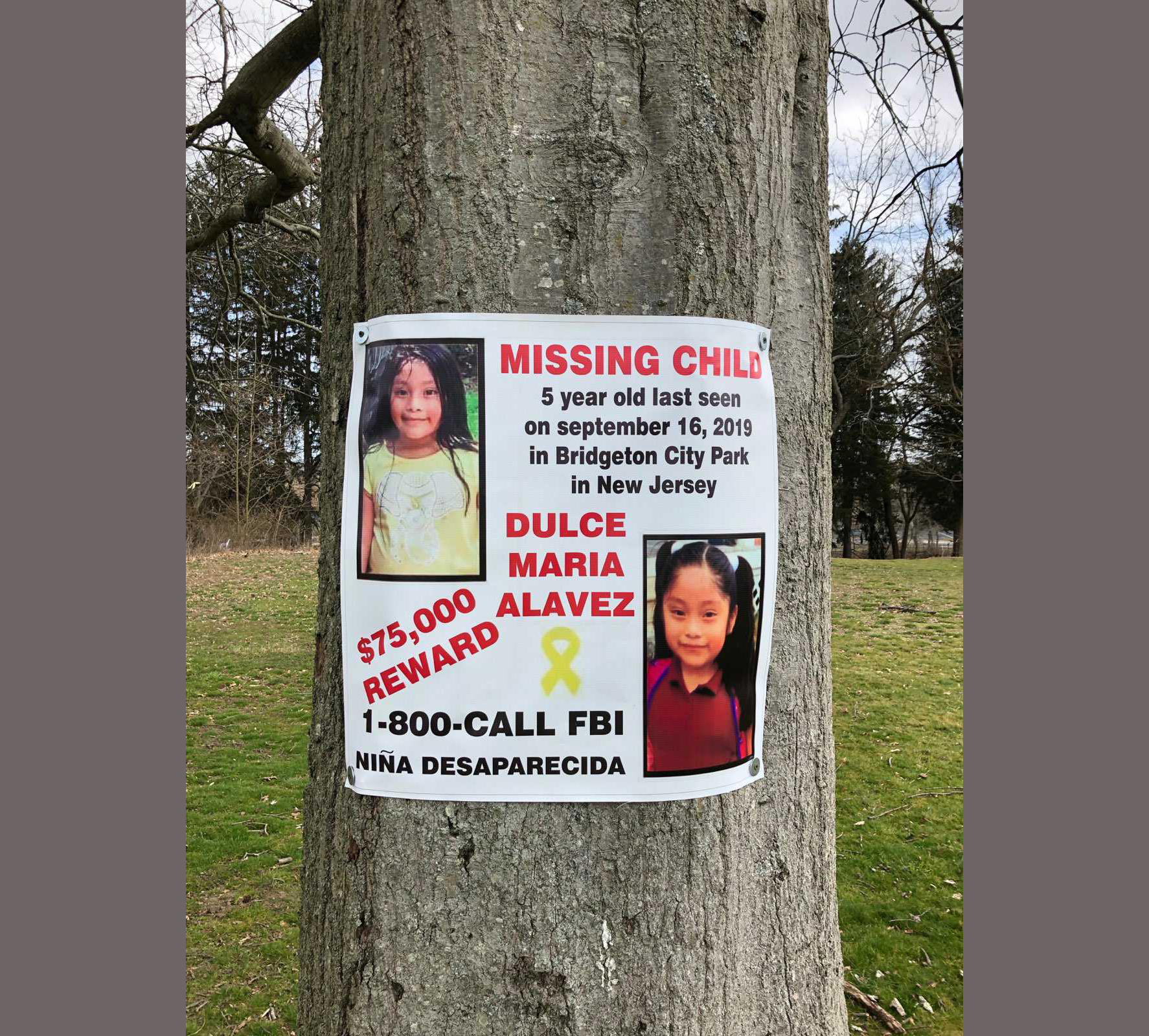 The girl who vanished