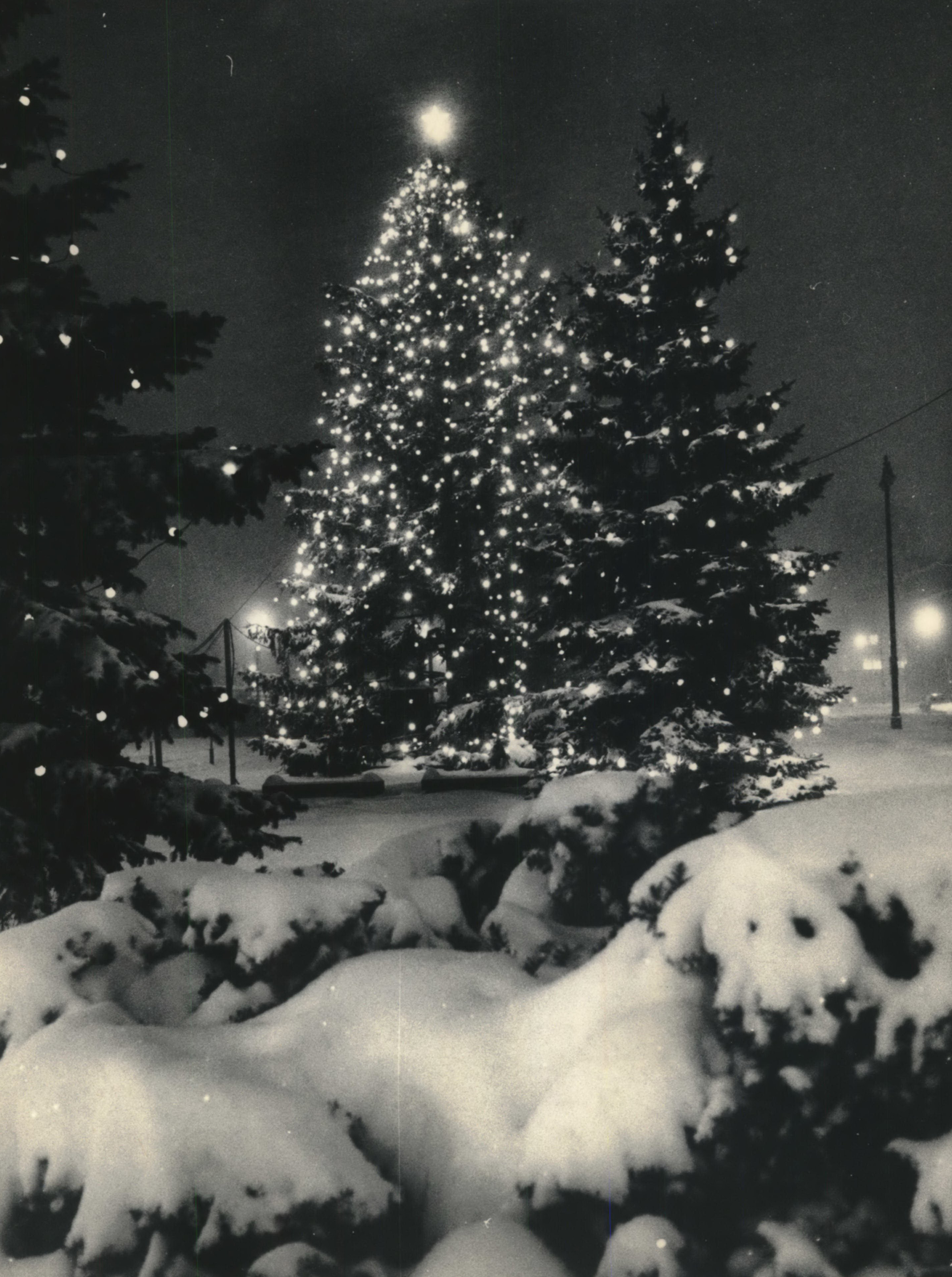christmas lights and snow tumblr