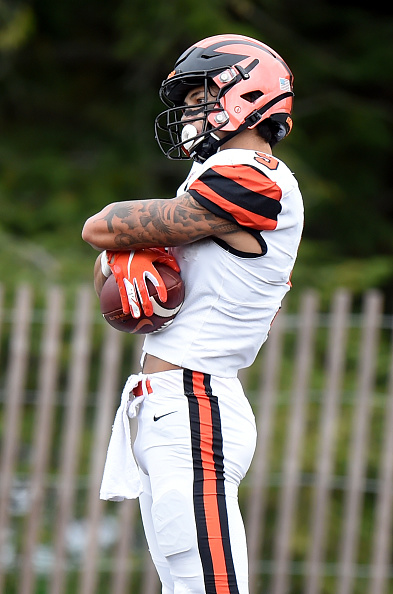 Bengals select Princeton WR Andrei Iosivas in sixth…