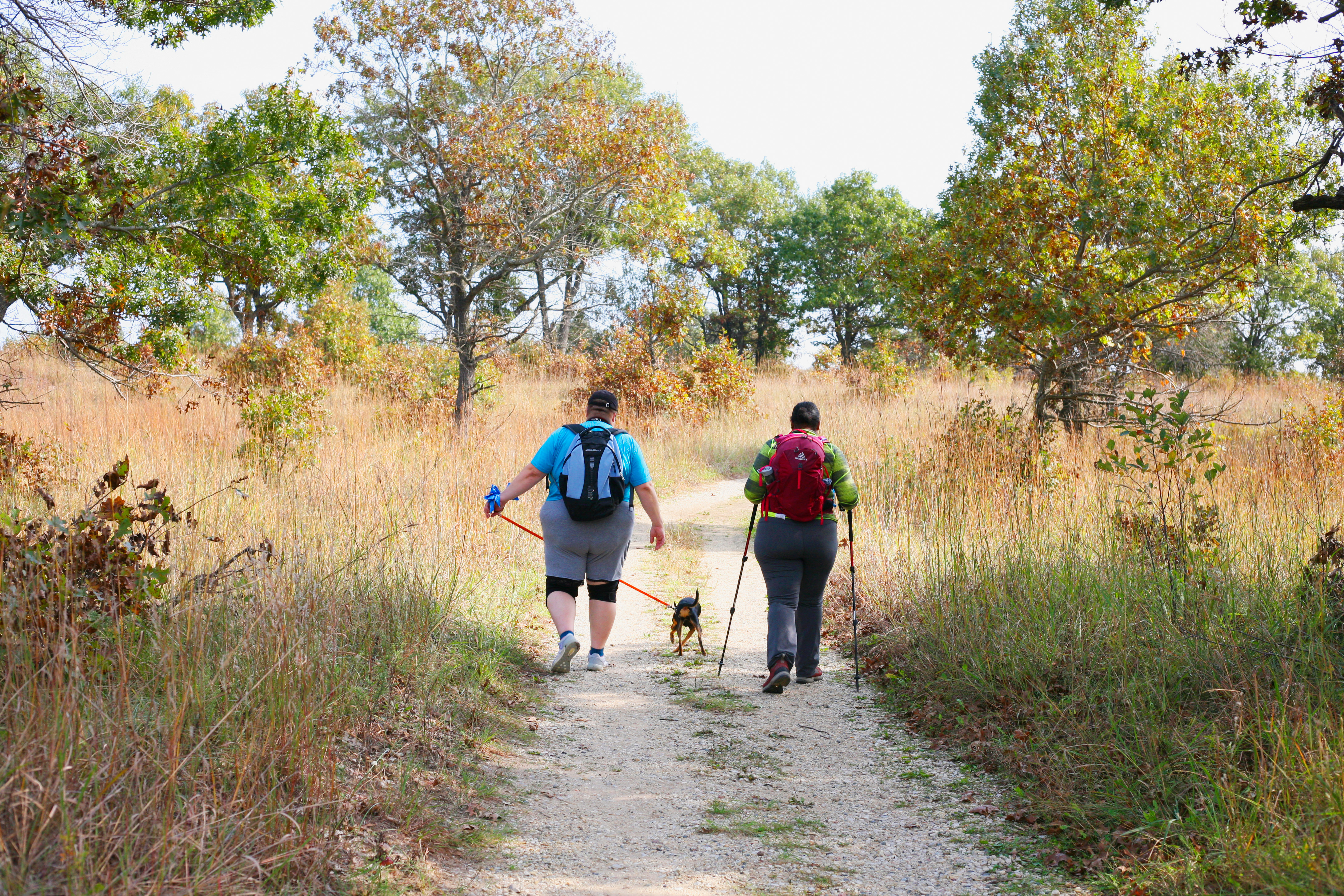 Fat Girls Hiking: An Inclusive Guide to Getting Outdoors at Any