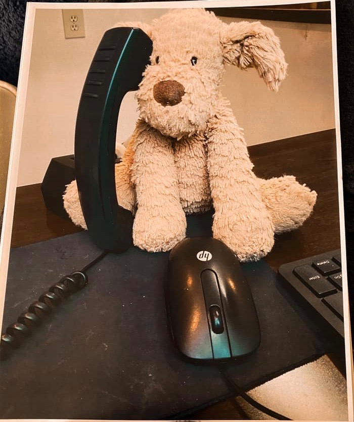 Ruff Ruff the lost dog