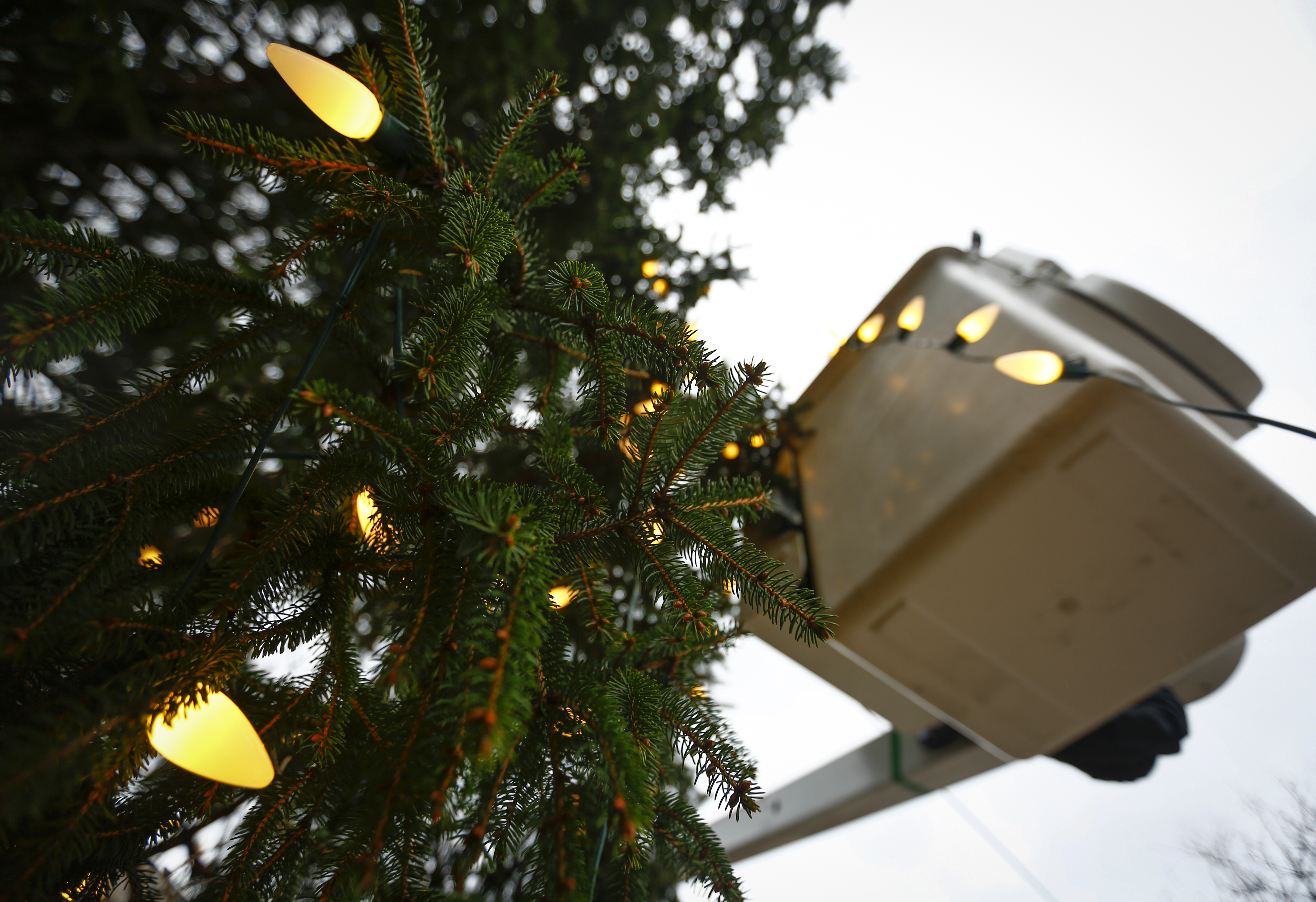 Bethlehem Pushes Up Annual Tree Lighting In Effort To Boost Business Lehighvalleylive Com