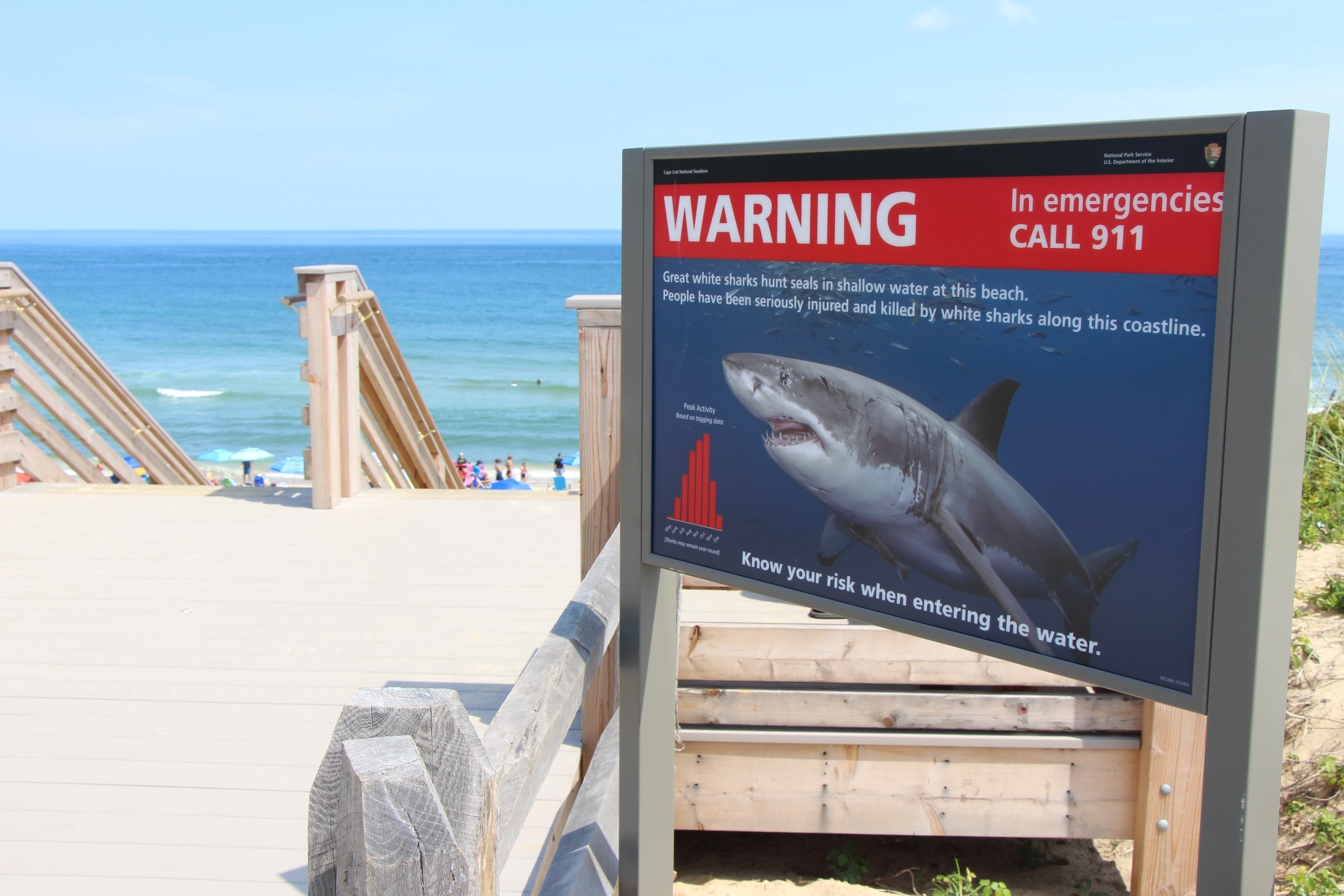 Shark Sighting At Plymouth Long Beach That Closed Beach Might Have
