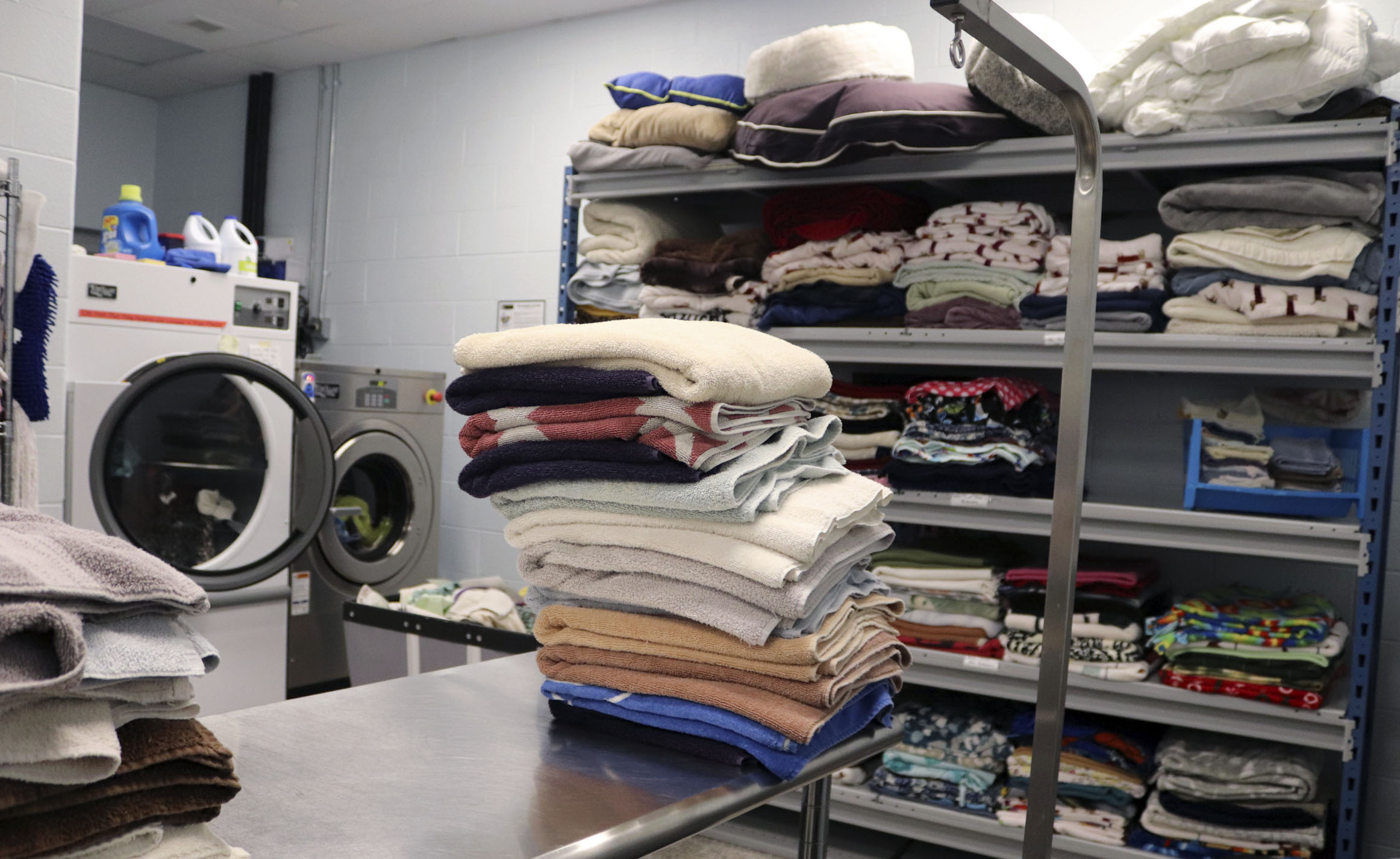 Towels sit in the laundry room on Tuesday, Aug. 23, 2022, at Charles and Lynn Zhang Animal Care & Resource Center in Kalamazoo.