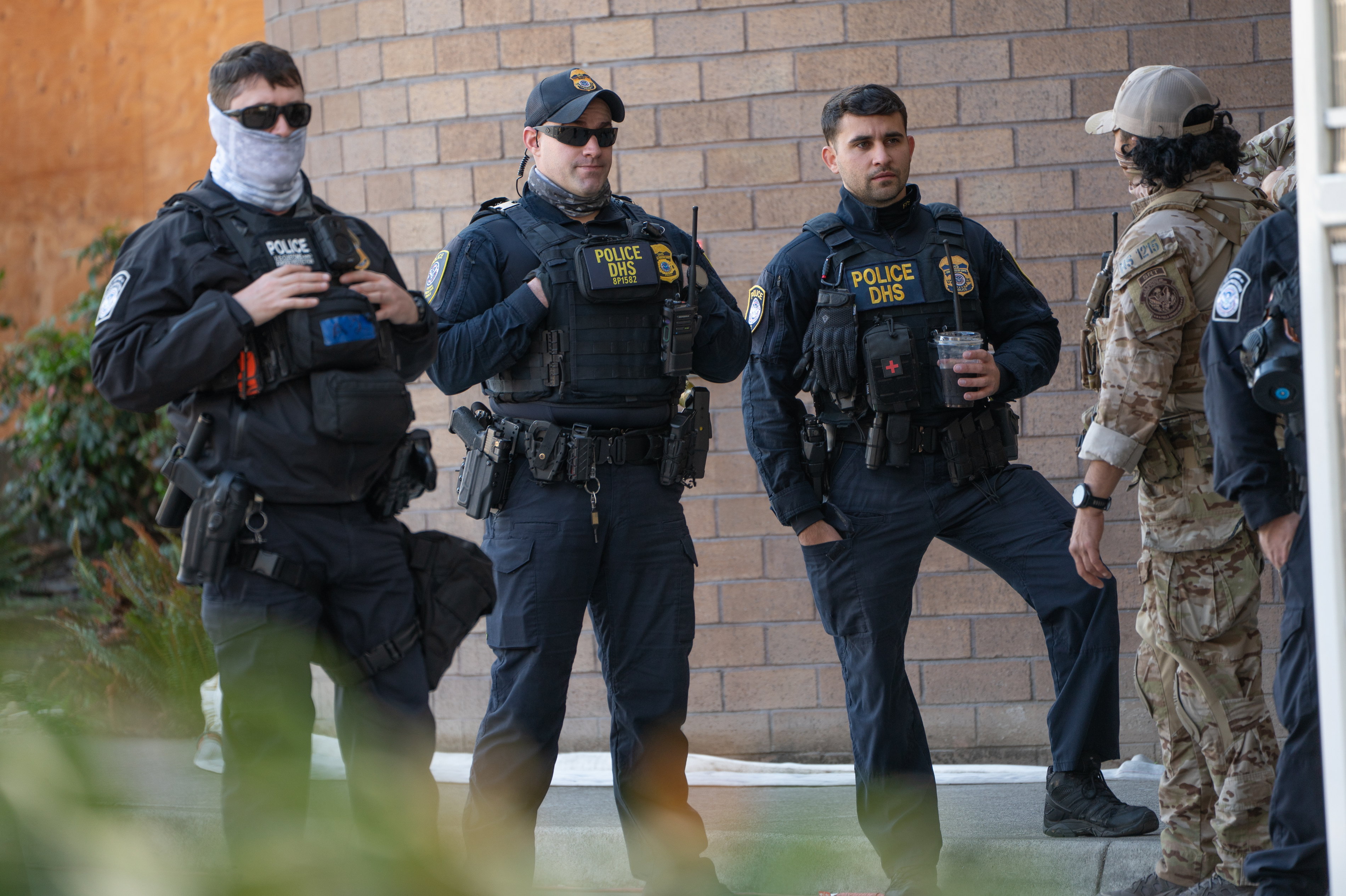 Real life horse joins Portland protest at ICE facility - oregonlive.com