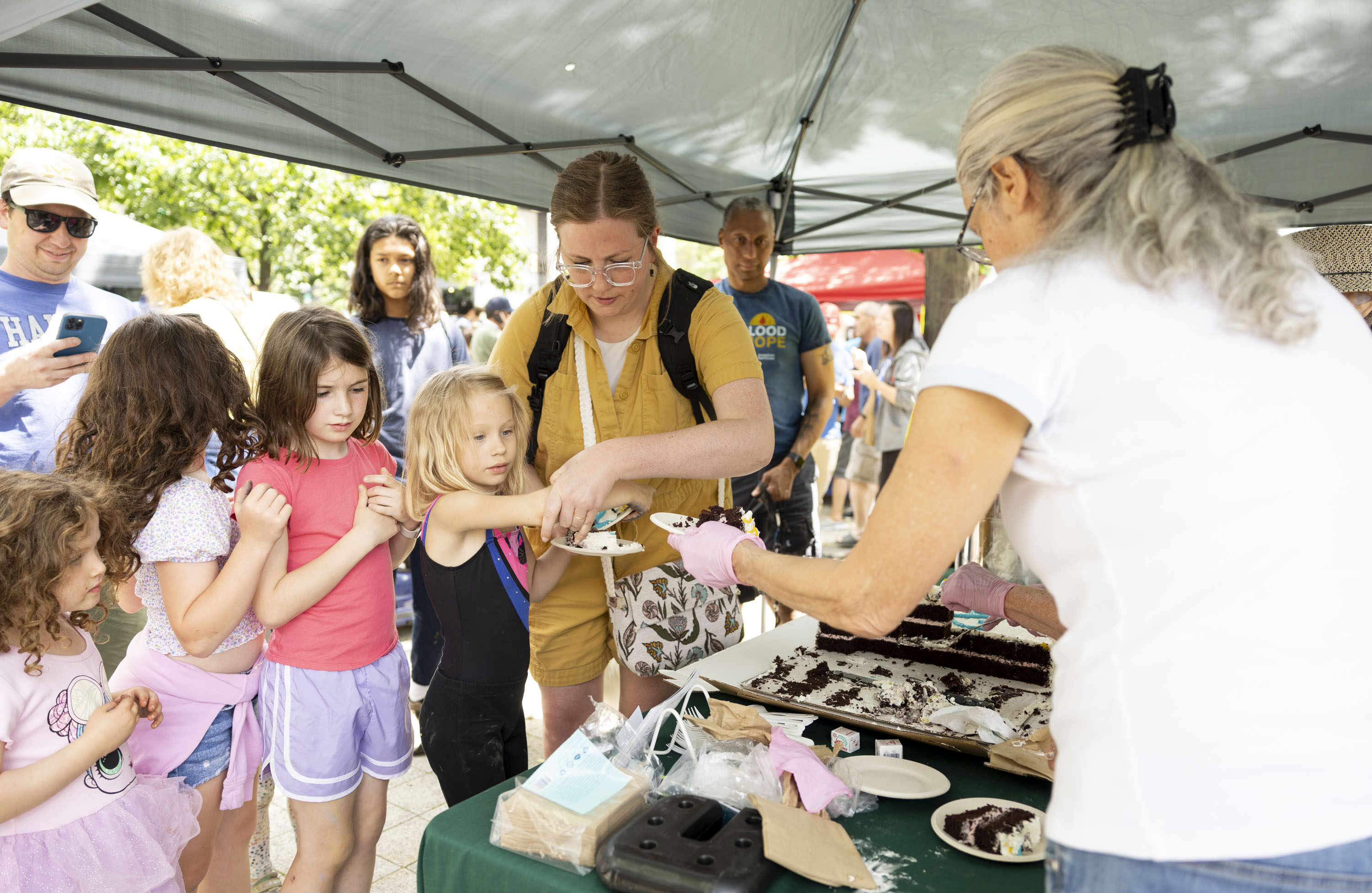 Ann Arbor Bicentennial Celebration