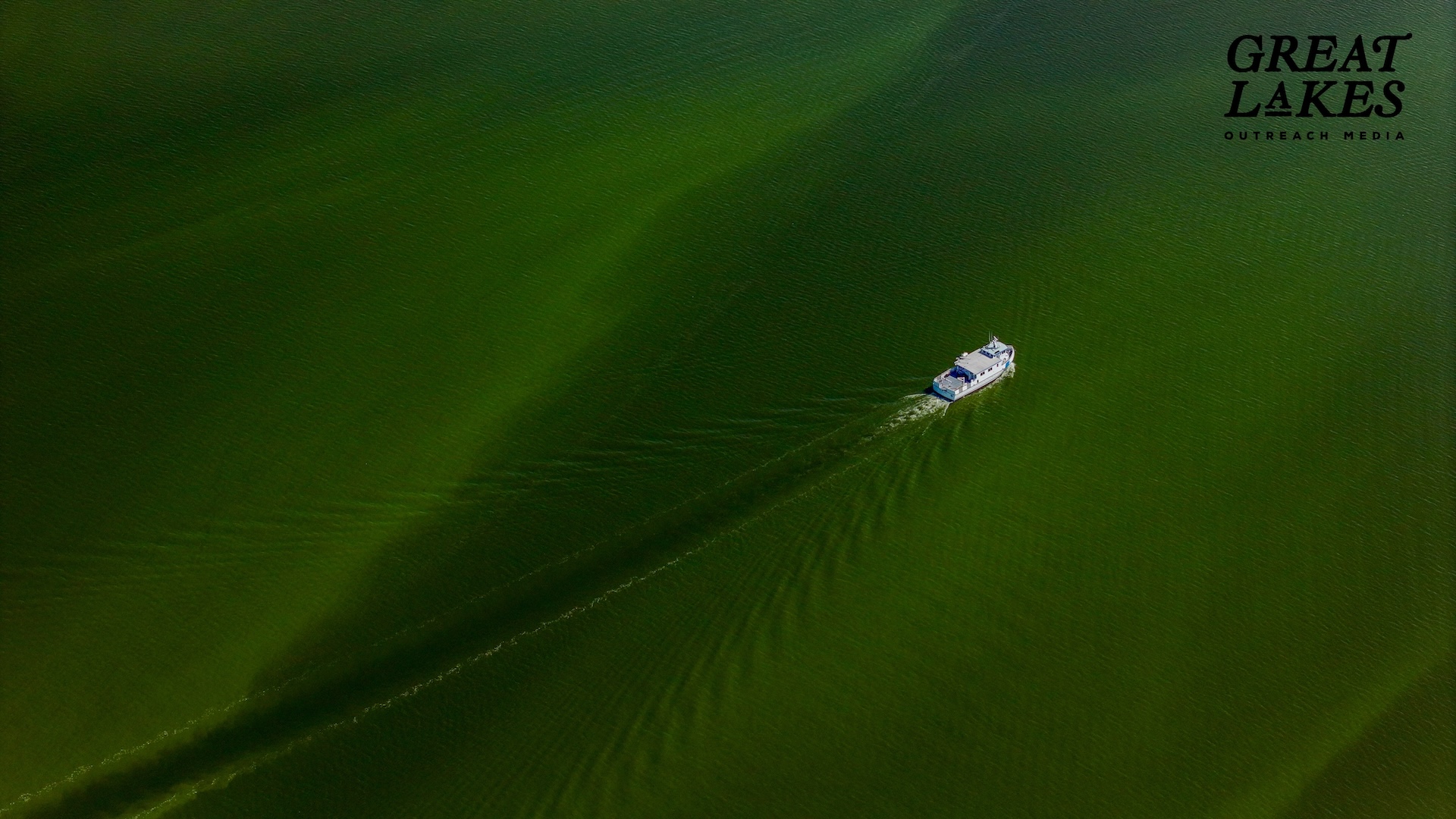Muskegon Lake plagued by harmful algae bloom - mlive.com