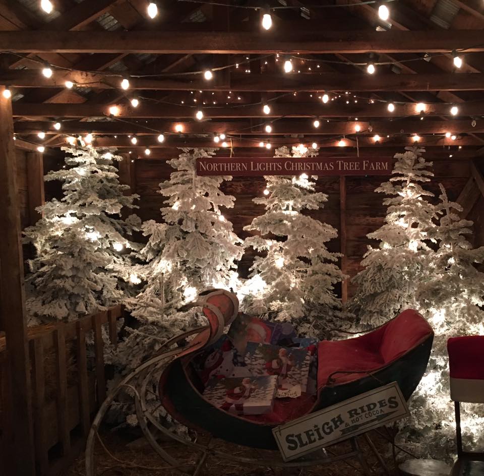 Oregon Christmas Tree Farm