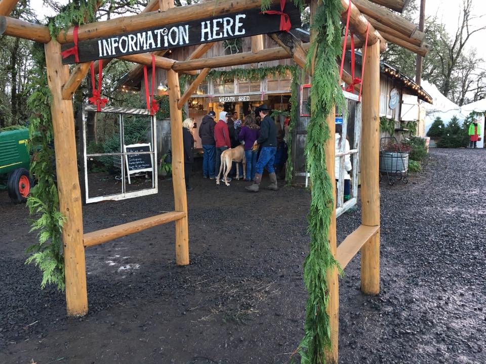 Oregon Christmas Tree Farm