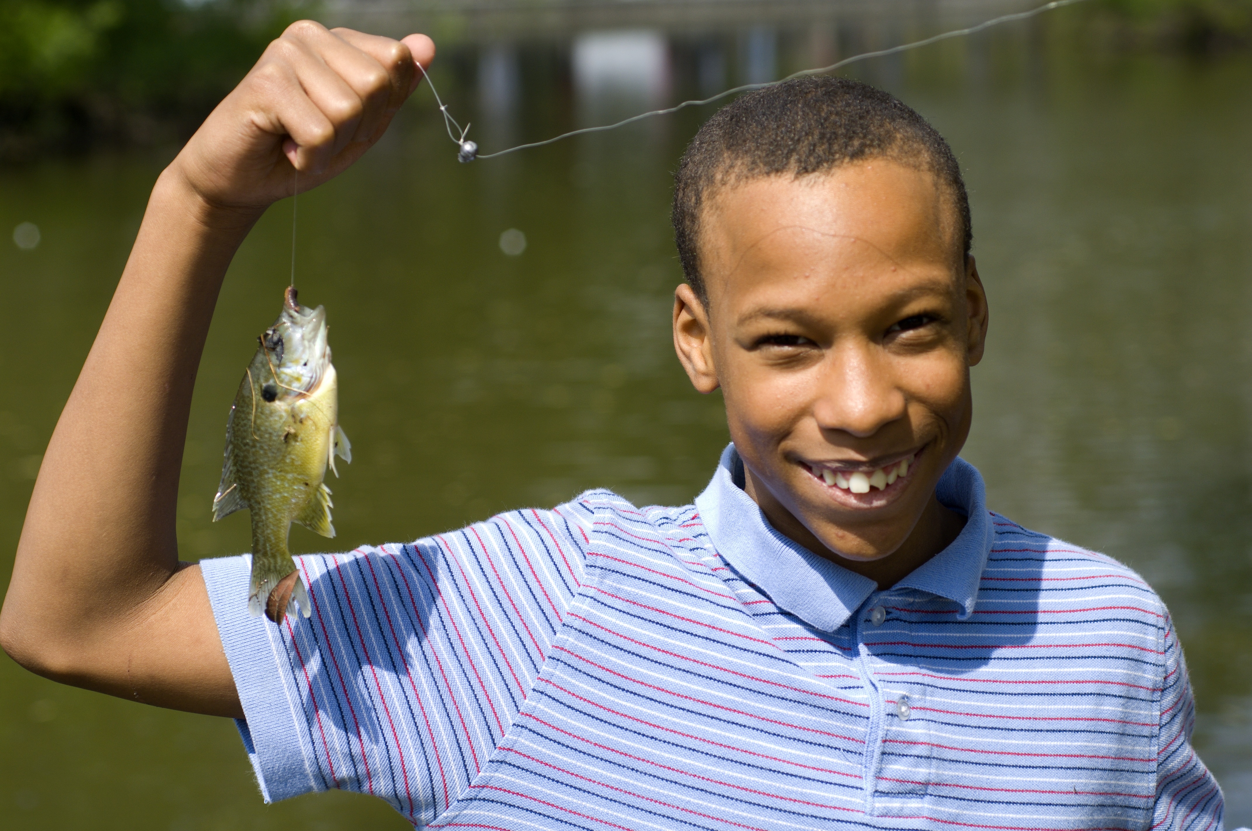how much is a senior fishing license in michigan? 2