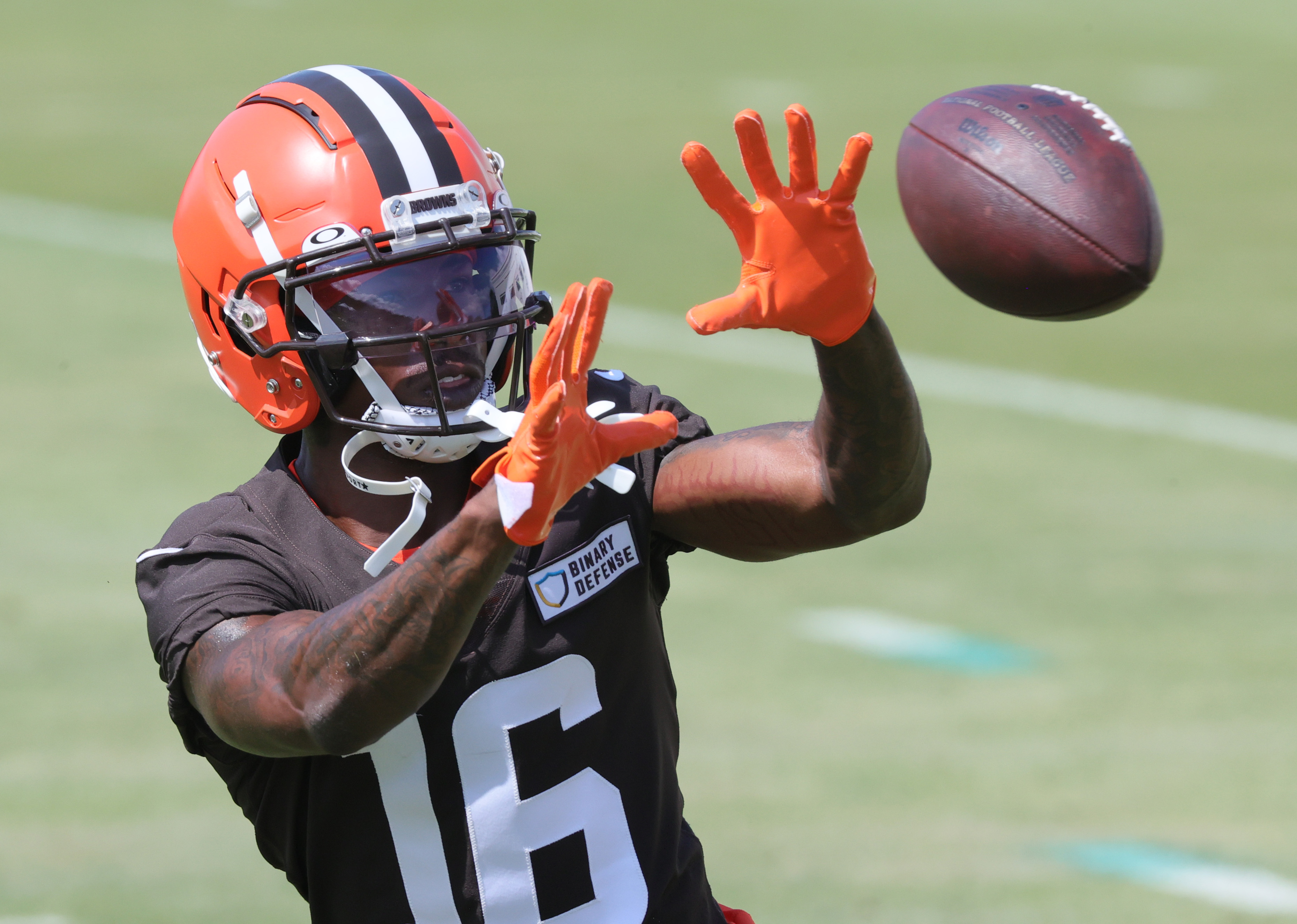 Cleveland Browns Jerome Ford Getting Every Opportunity to Supplement Nick  Chubb - Sports Illustrated Cleveland Browns News, Analysis and More