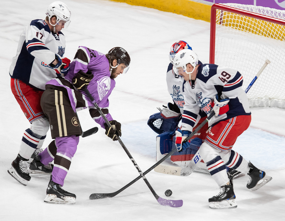 Scenes From Hershey Bears Fight Cancer Night - Pennlive.com