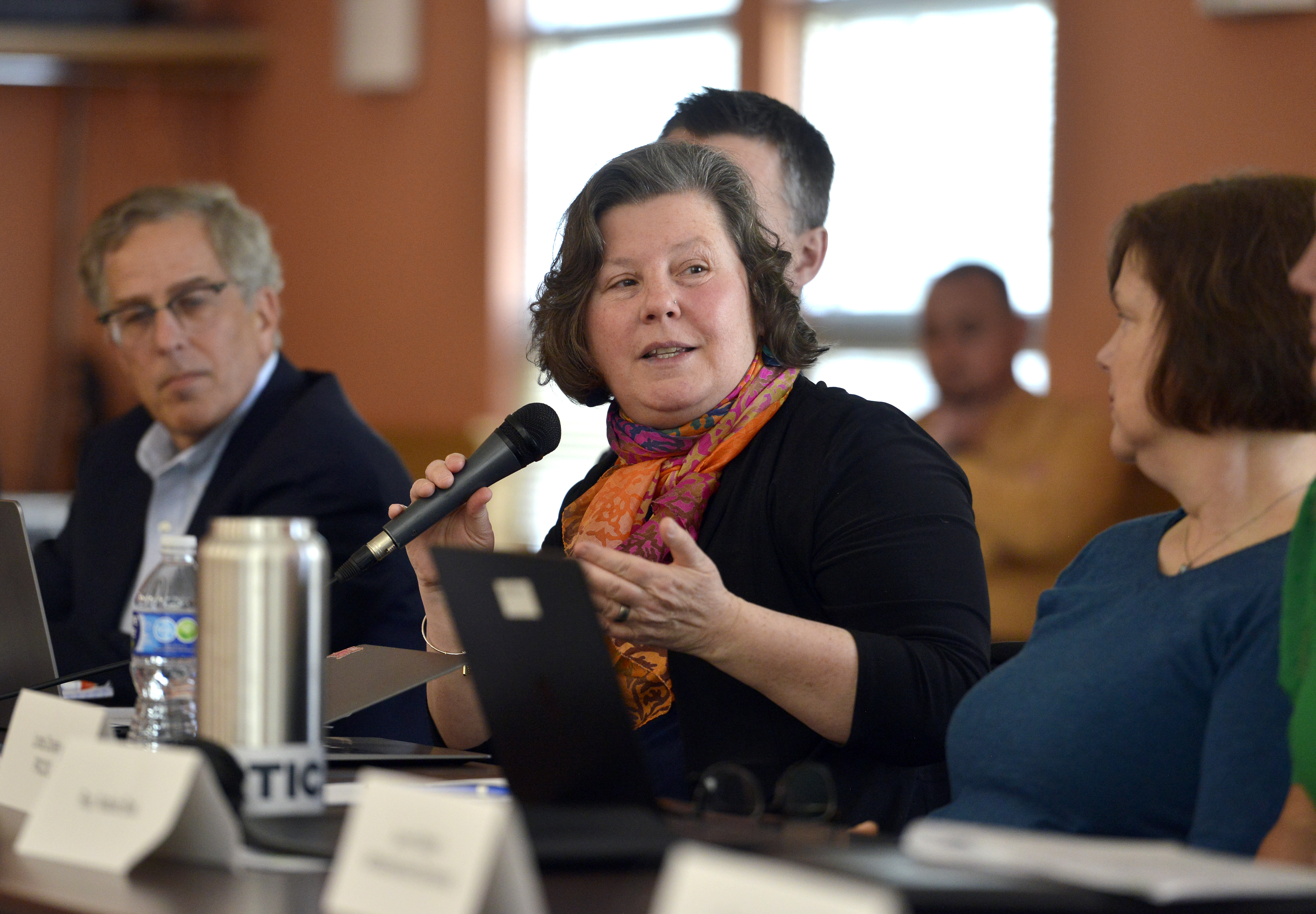 State Representative Joanne Comerford speaks during a meeting of the Western Massachusetts Passenger Rail Commission at the Northampton Senior Center.  (Don Treeger / The Republican)  3/21/2023