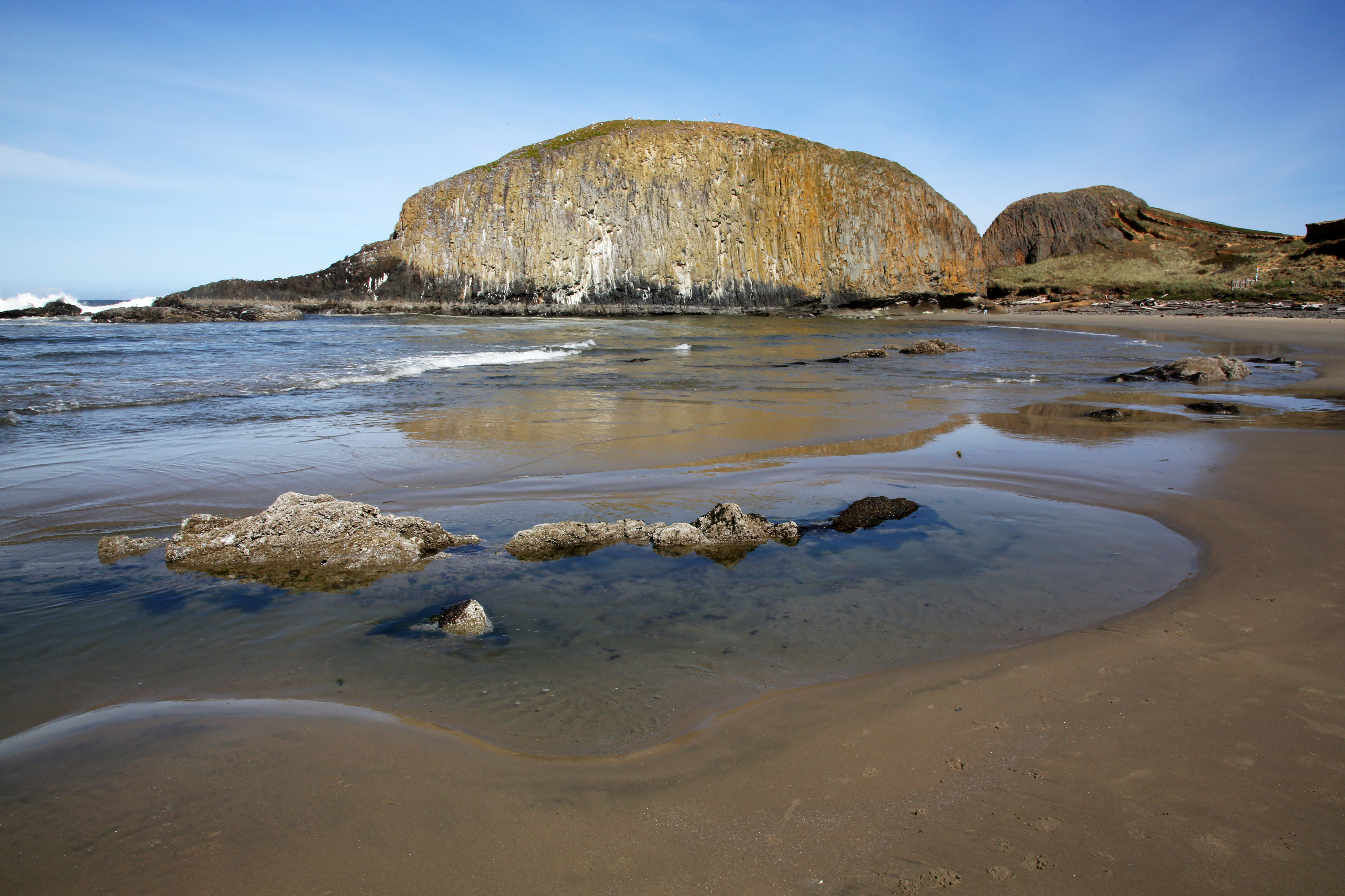 Waldport Seal Rock: Uncover Coastal Wonders & Wildlife!
