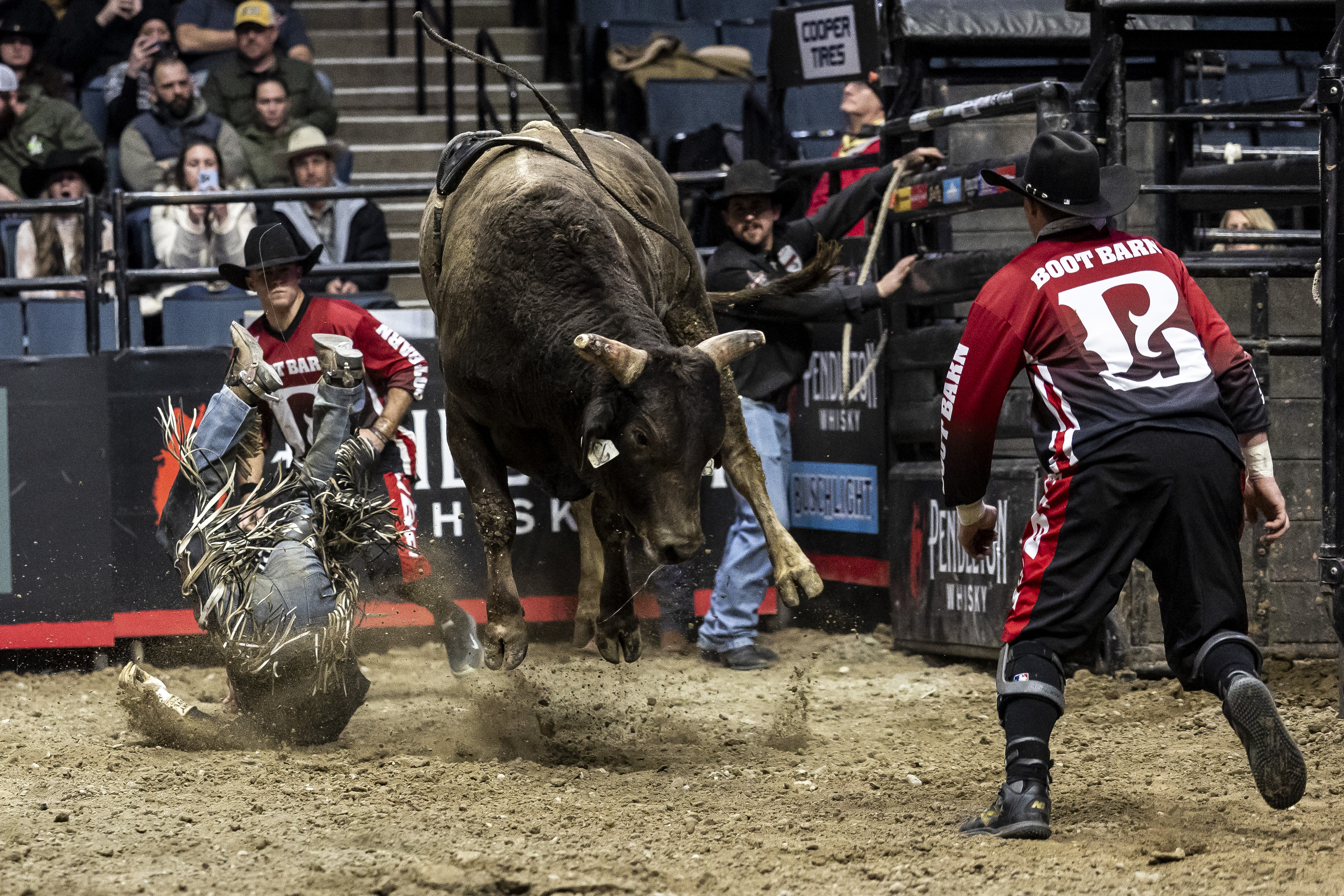 World’s best bull riders compete in Grand Rapids - mlive.com