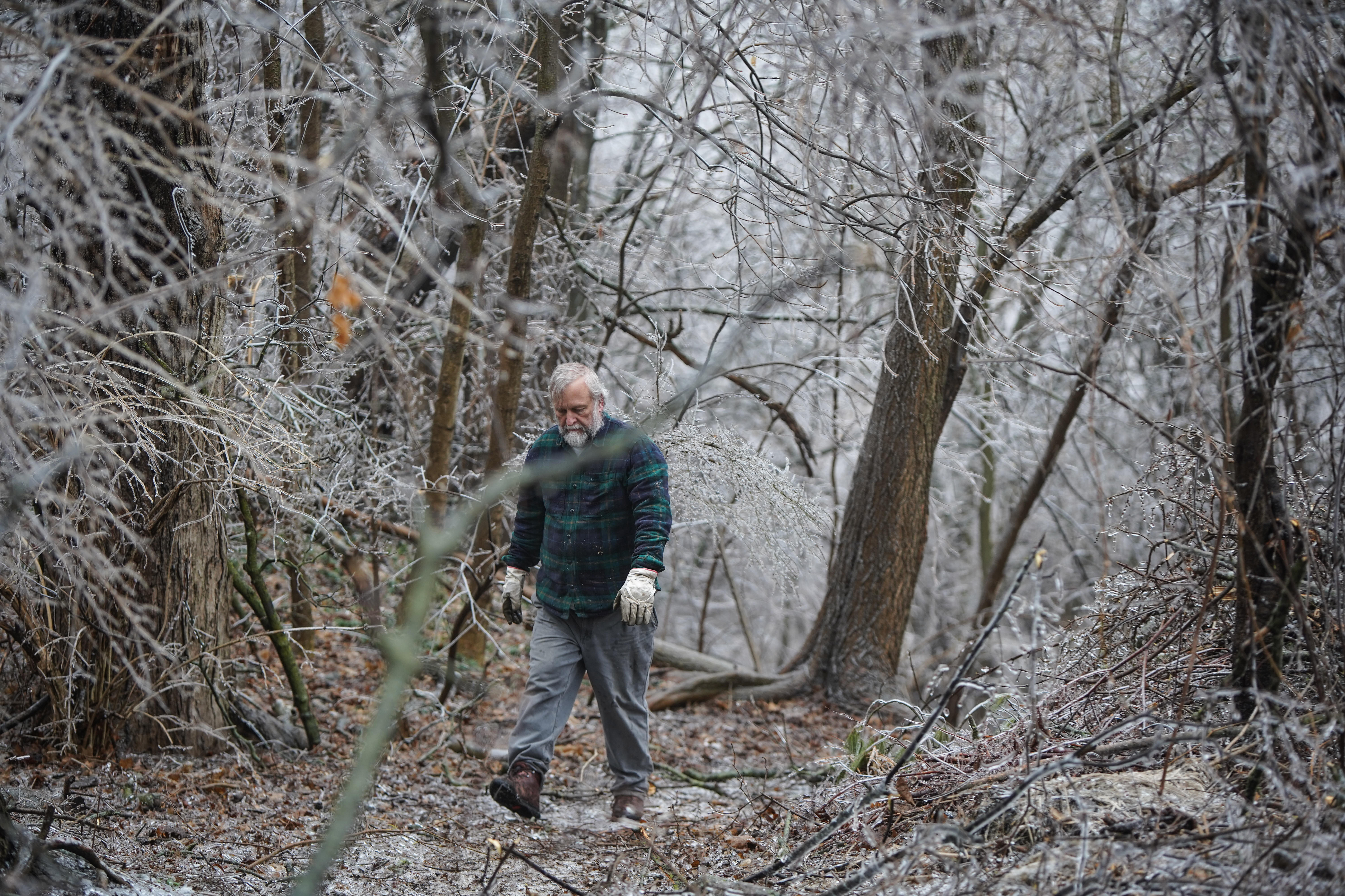 Ice storm causes damage across Michigan - mlive.com