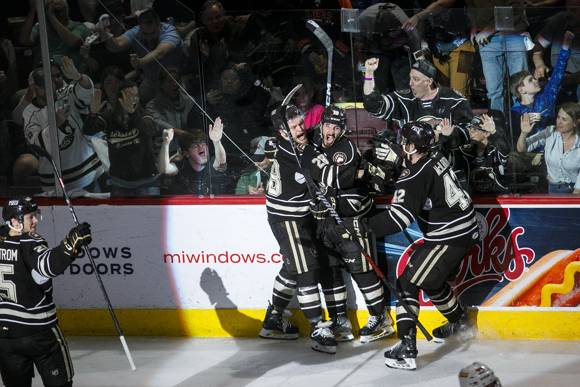 Calder Cup Finals: Firebirds fall to Hershey Bears, series tied 2-2