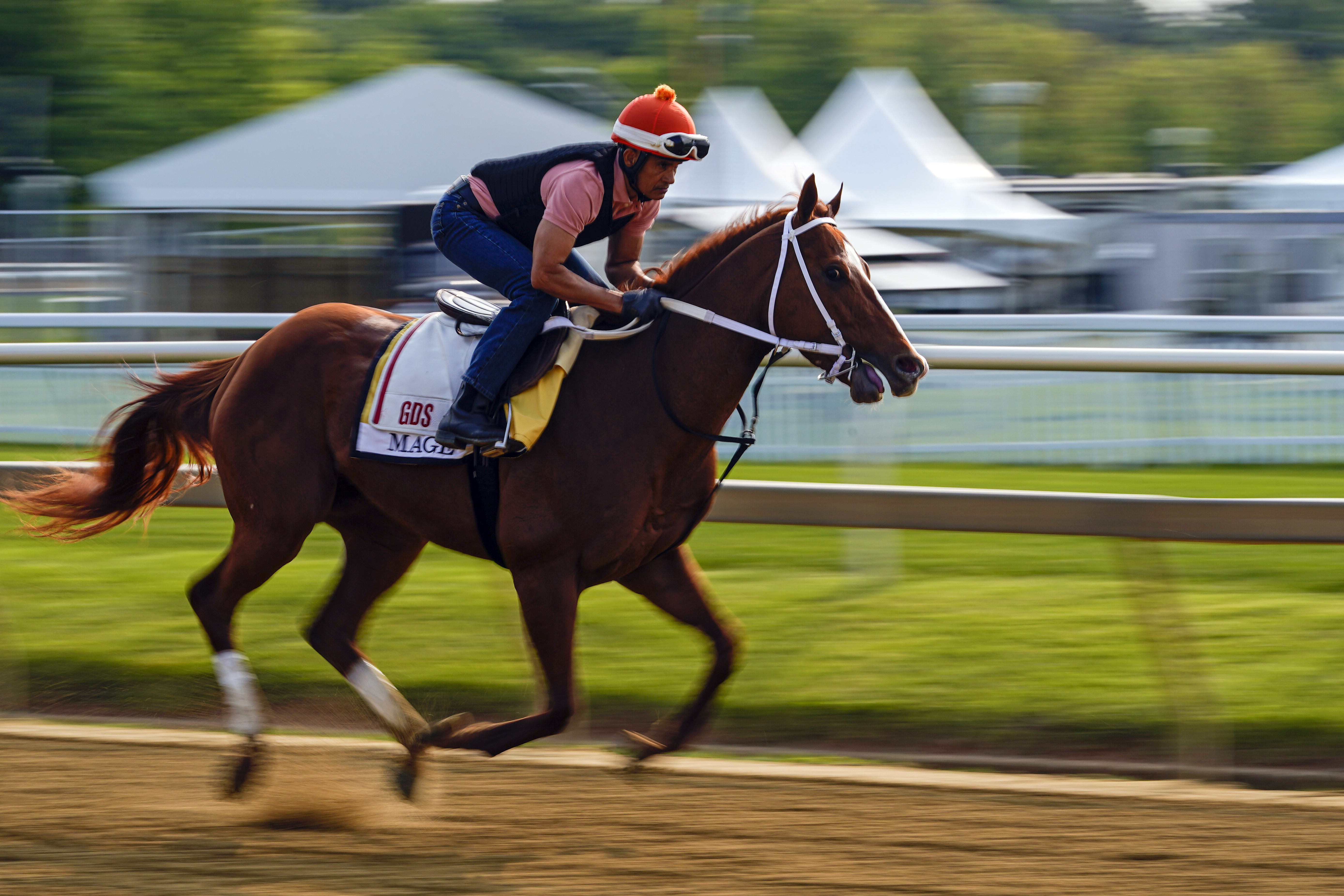 Preakness 2023: How to watch, odds, post position, streaming, and