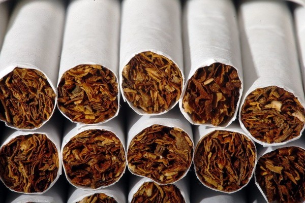 red tobacco ingredients Red Tobacco | Mancera red tobacco ingredients Red Tobacco | Mancera