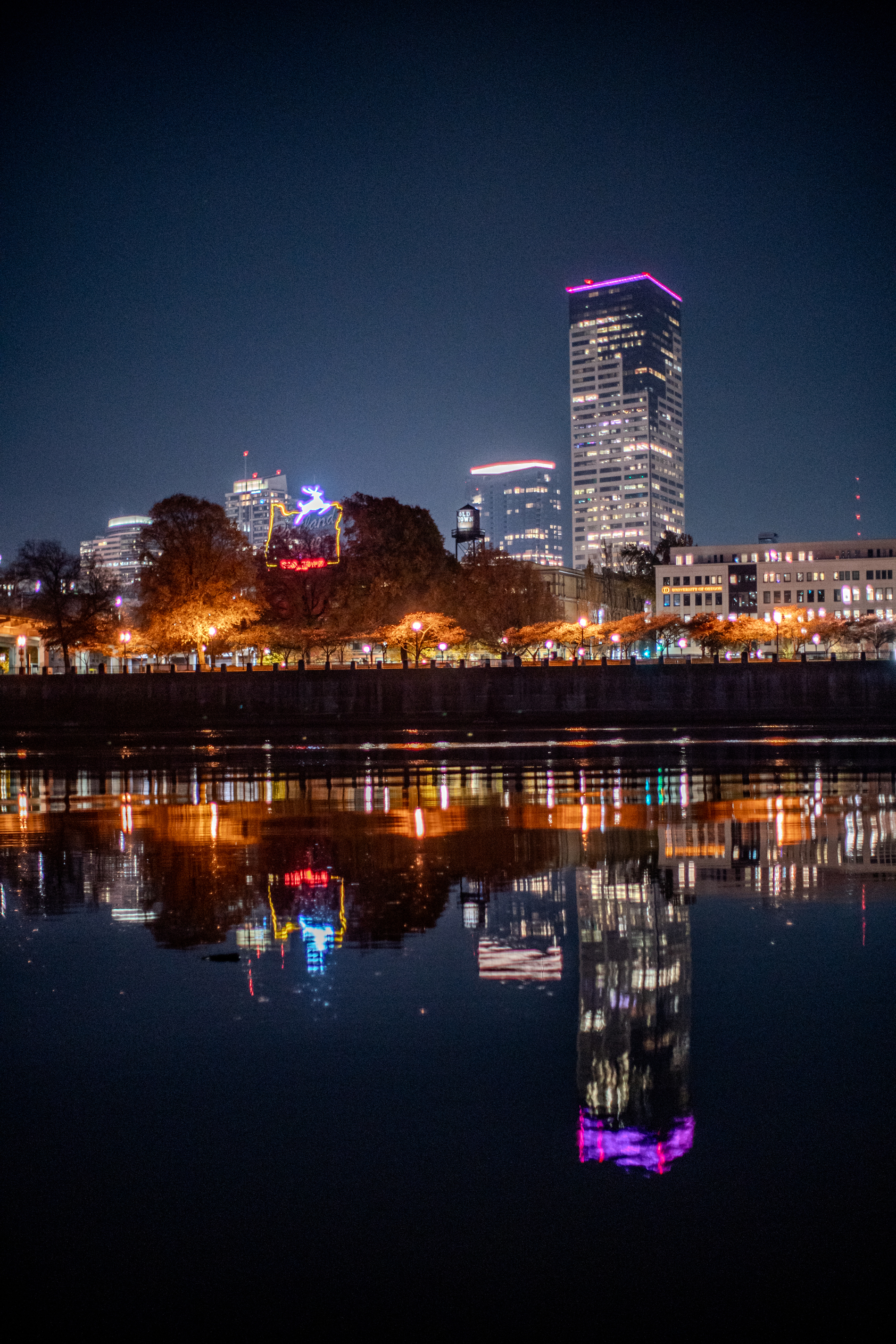 Portland Oregon Waterfront At Night