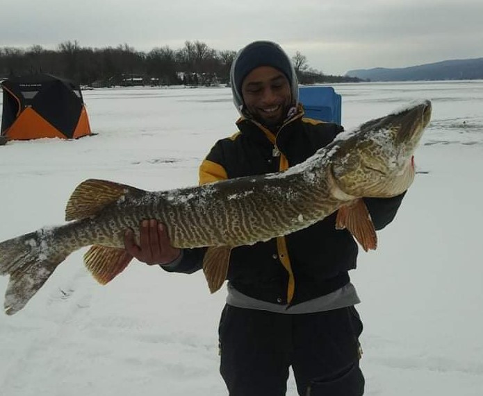 Almost a world record: CNY angler catches huge, 45 1/2-inch tiger