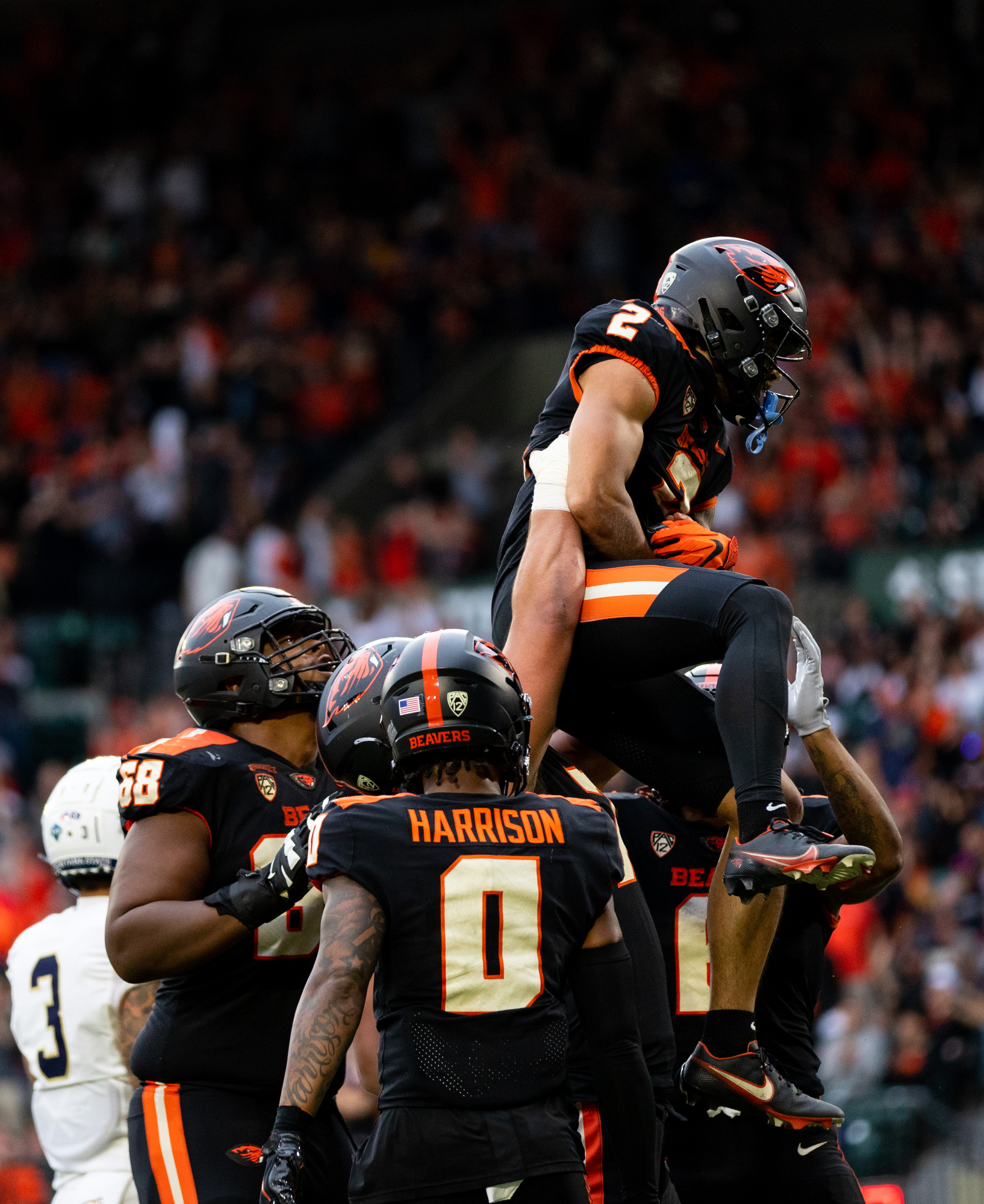 Oregon State Beavers Return to Portland to Host the Montana State Bobcats  on Saturday