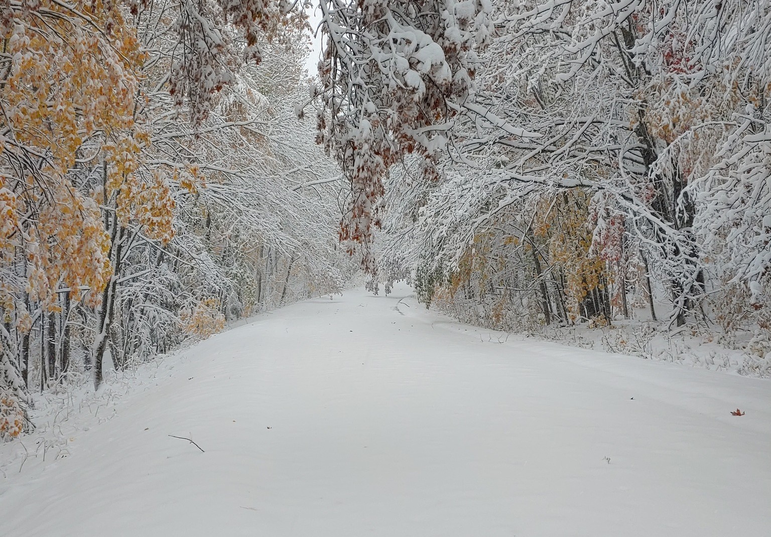 Photos: More than a foot of snow falls on Michigan's Porcupine Mountains 