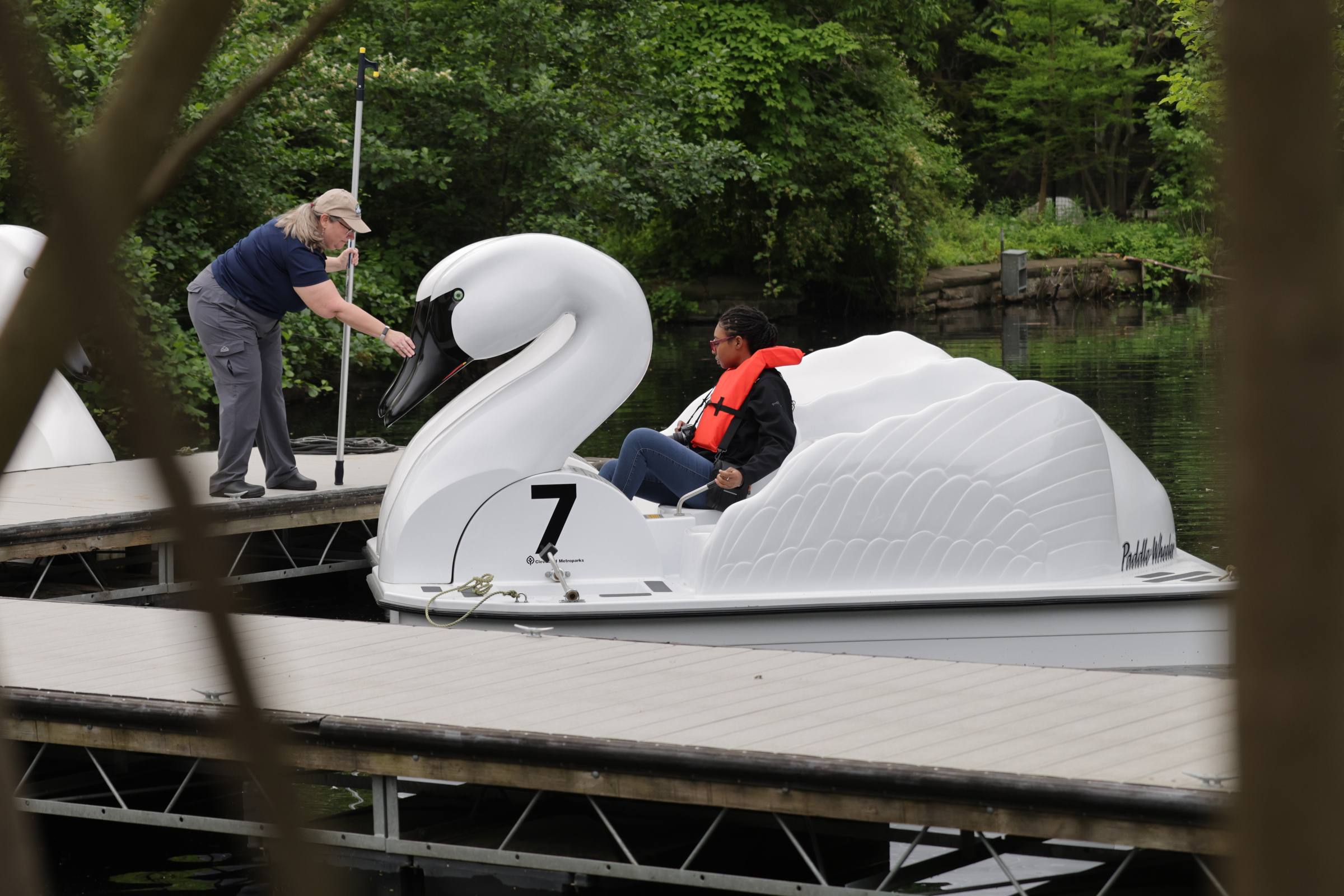 Swan Voyage opens at Cleveland Zoo - cleveland.com