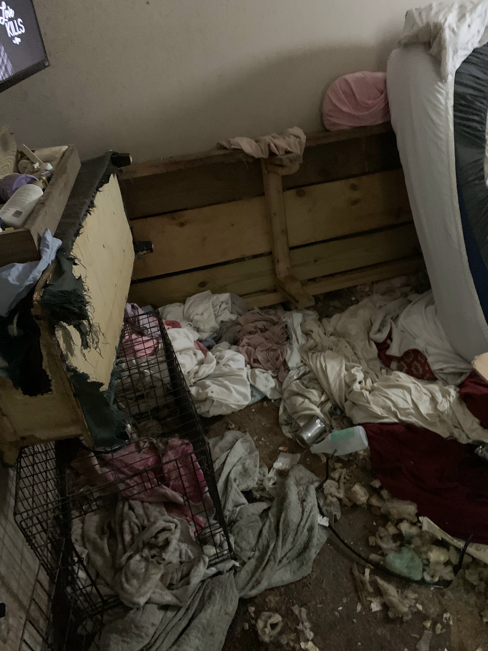 See why more than 90 living, dead animals were seized from Michigan ...