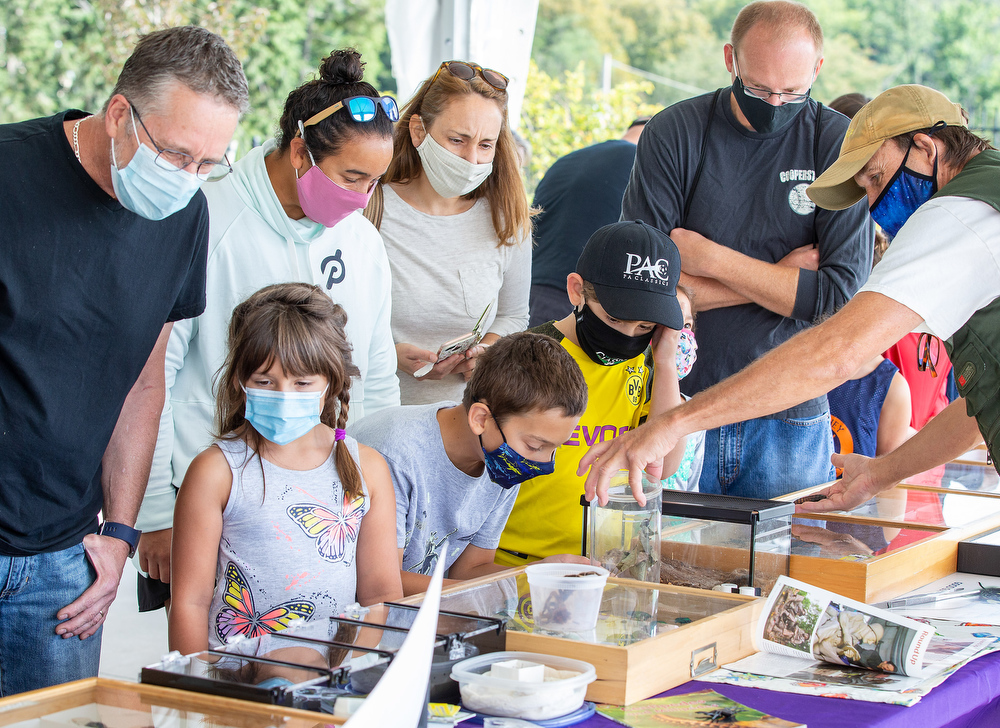 Bug O’Rama at Hershey Gardens - pennlive.com