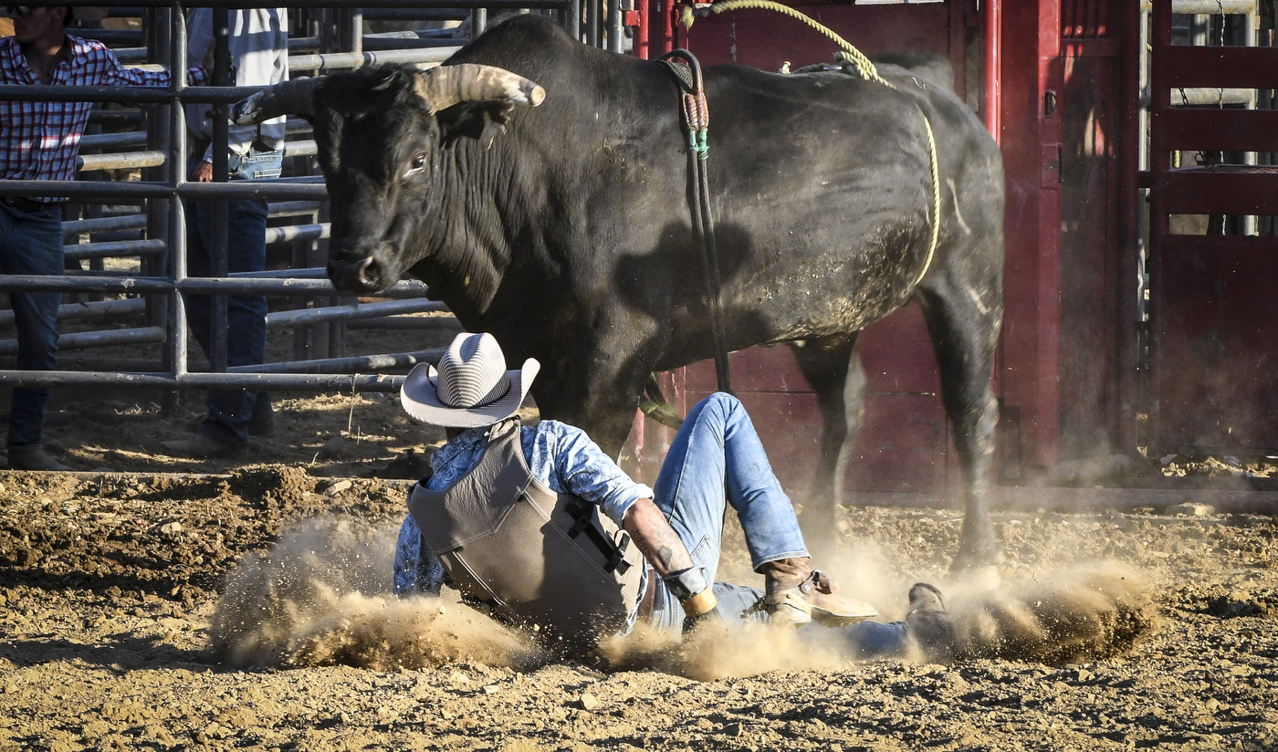 2022 Warren County Farmers' Fair & Balloon Festival - lehighvalleylive.com
