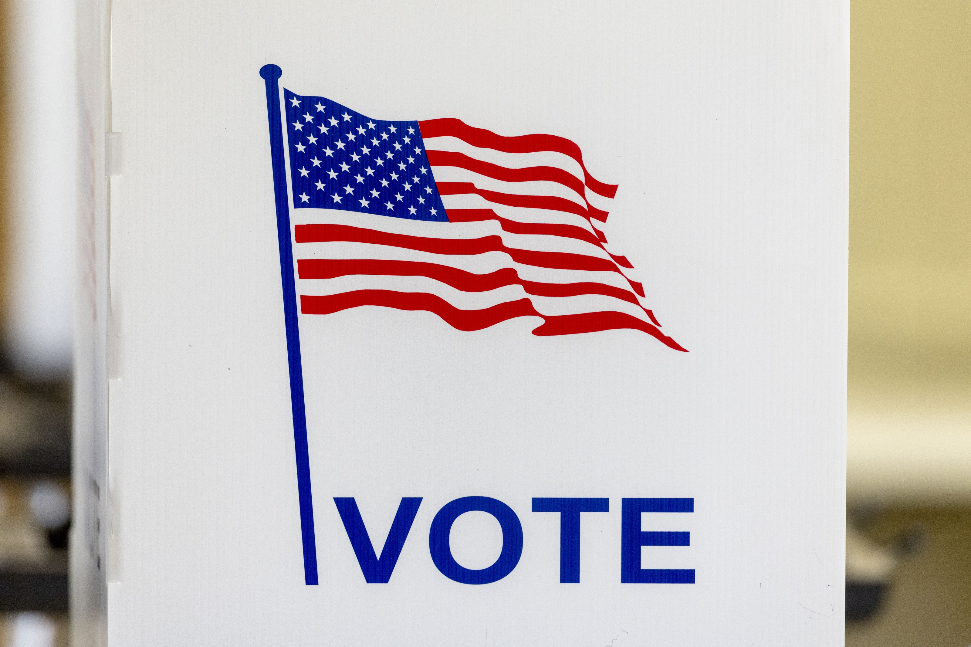 Genesee County voters cast ballots in August 2025 election - mlive.com