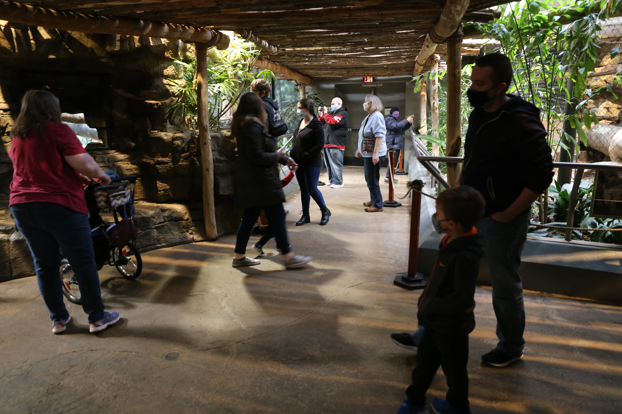 RainForest at Cleveland Zoo reopens