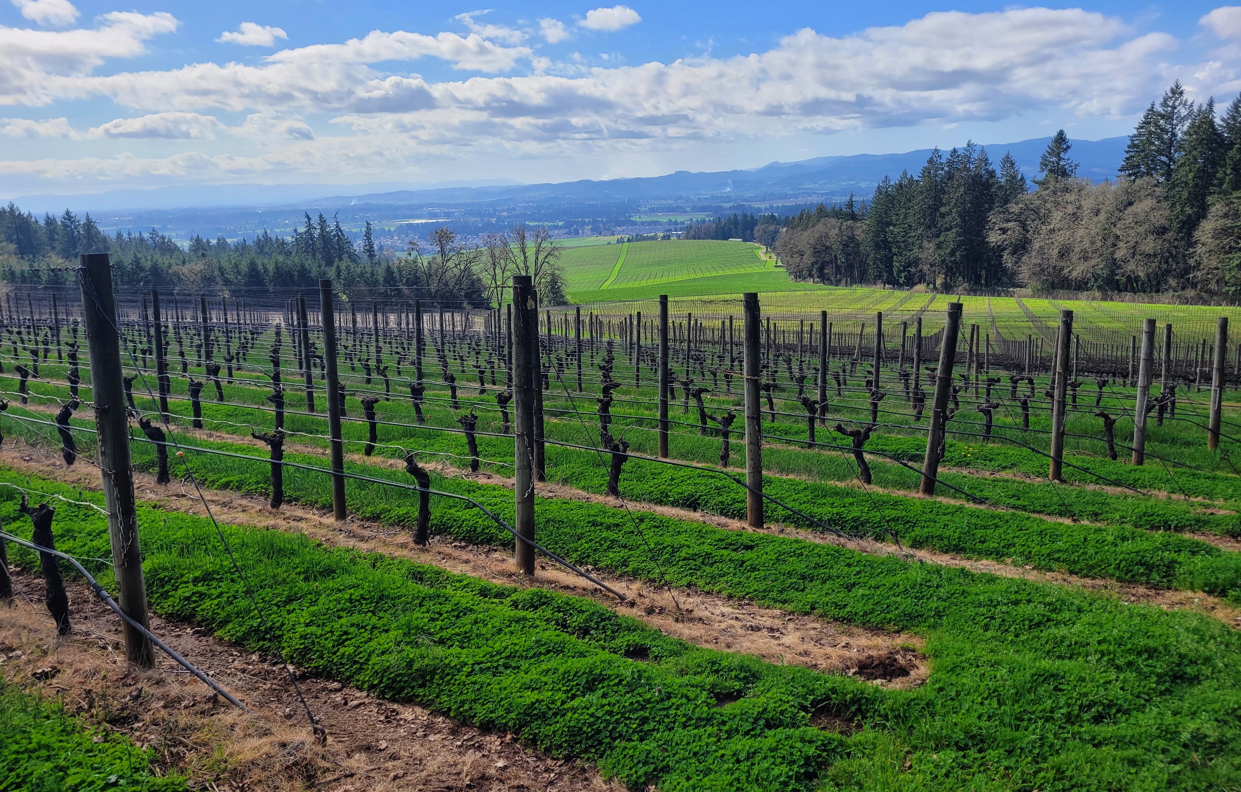 Francis Ford Coppola sells Oregon vineyard - oregonlive.com