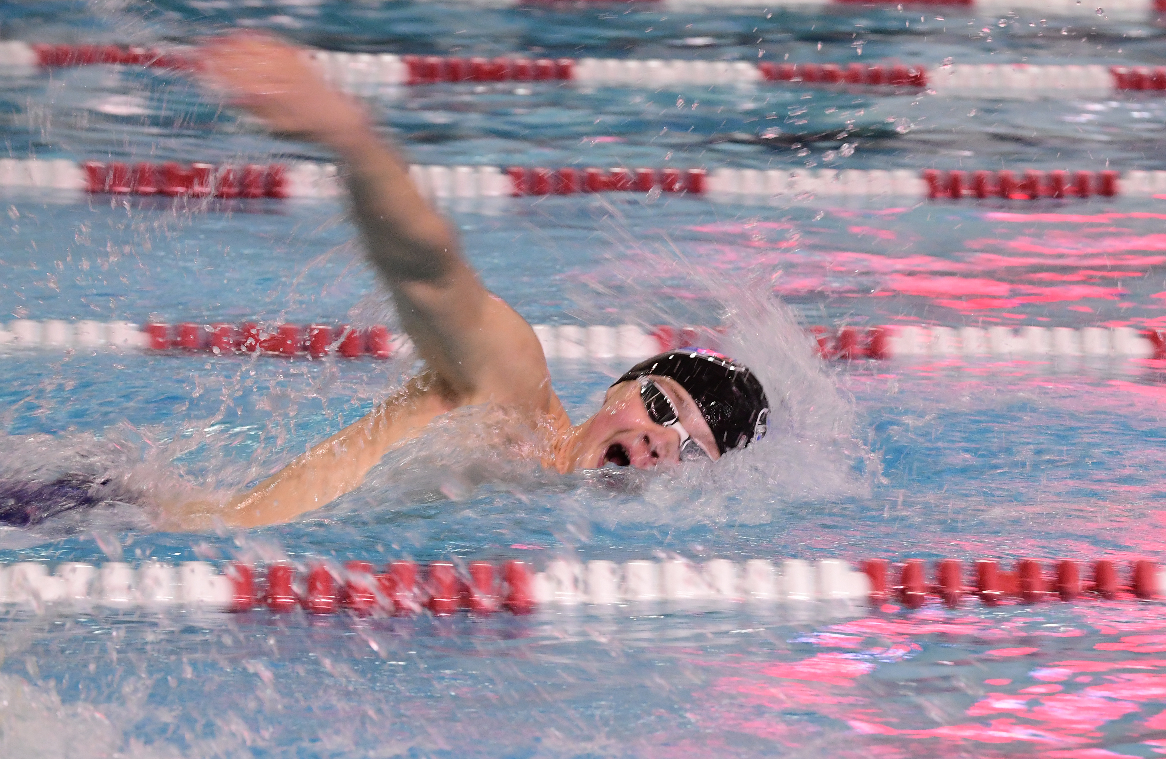 FHS boys swimmers knock off Canaries – Lehigh Valley Press