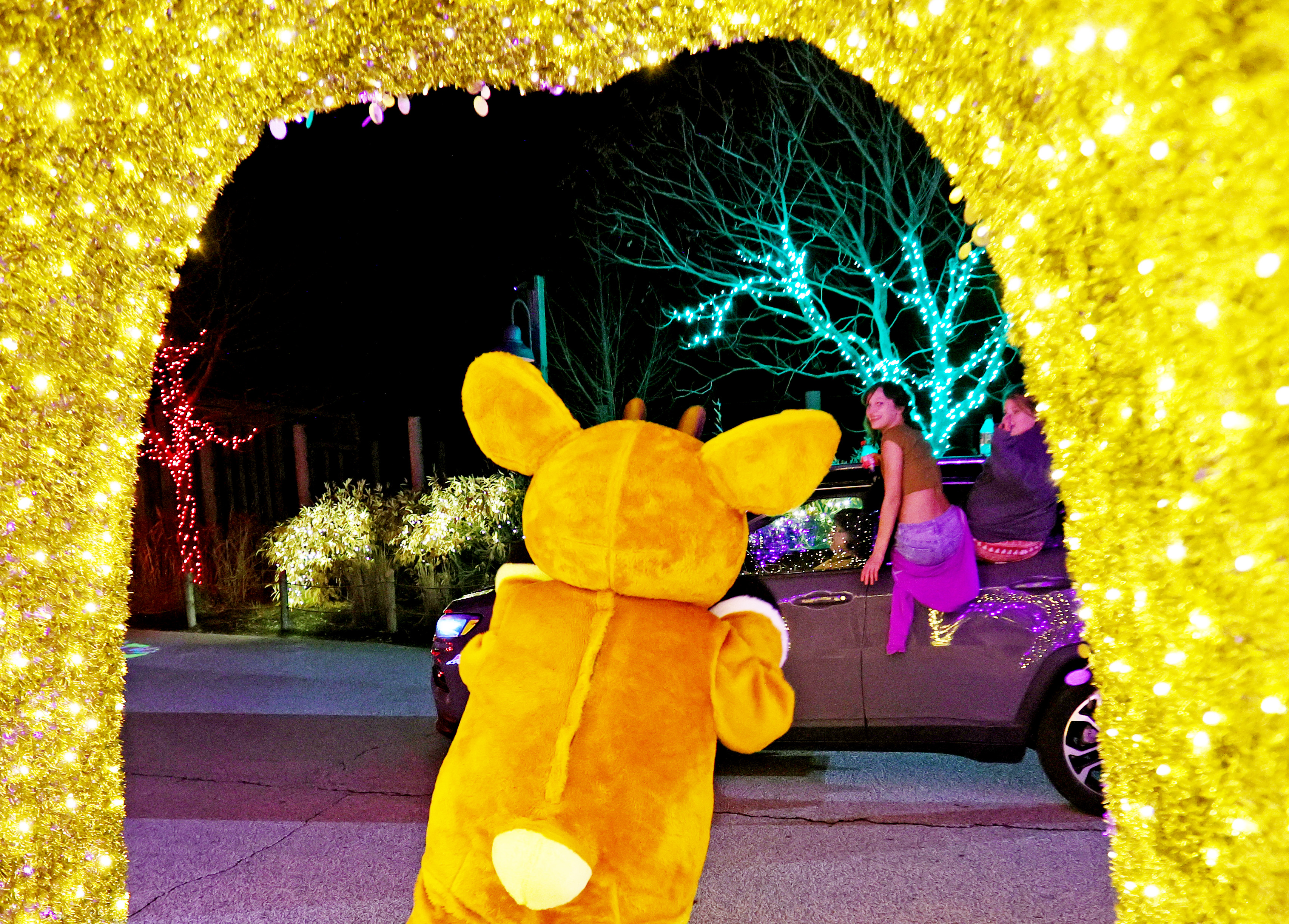 Cleveland Zoo is lit bright in an array of stunning colors during