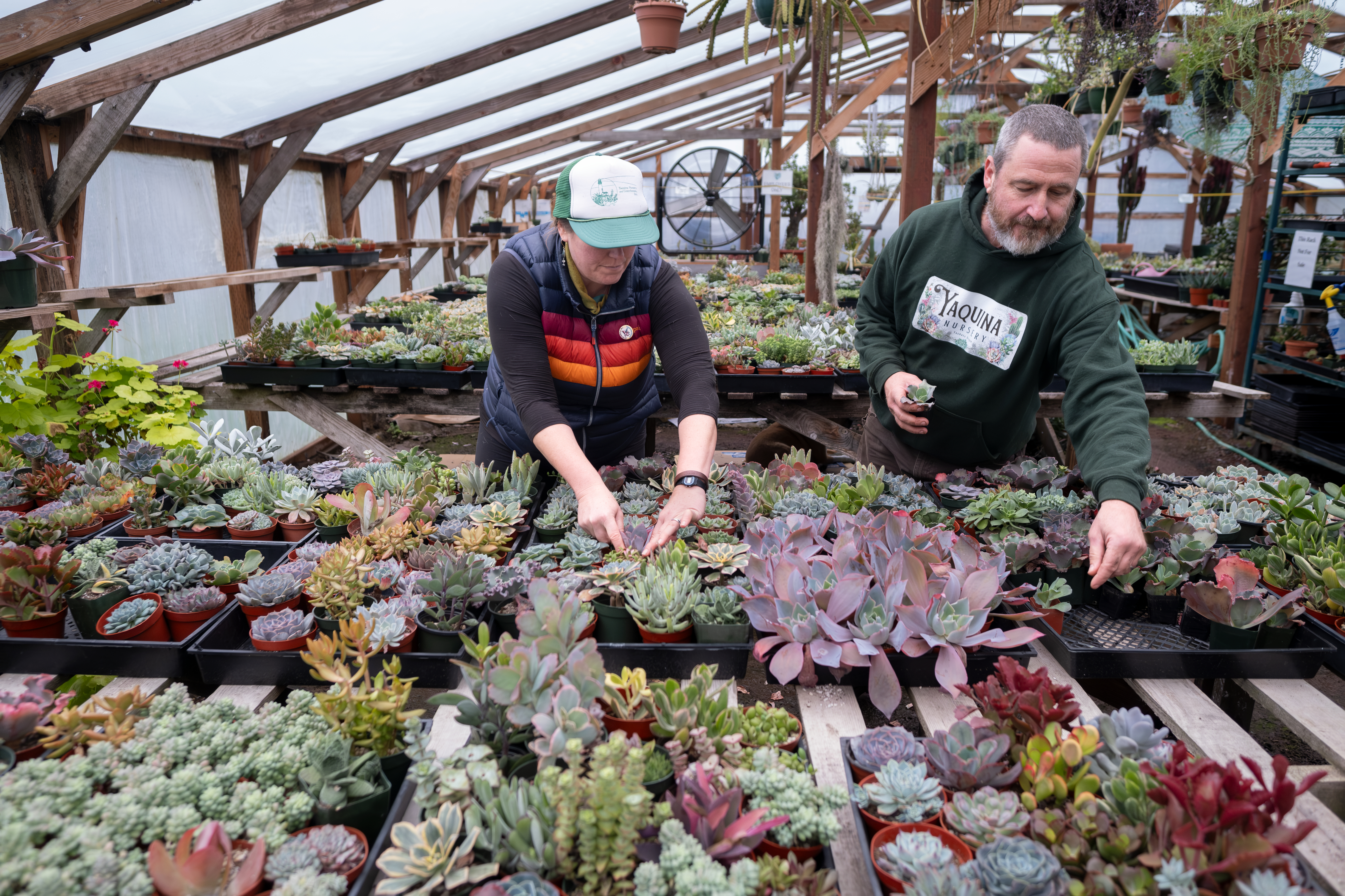 Cactuses and succulents abound at this Oregon coast nursery - oregonlive.com