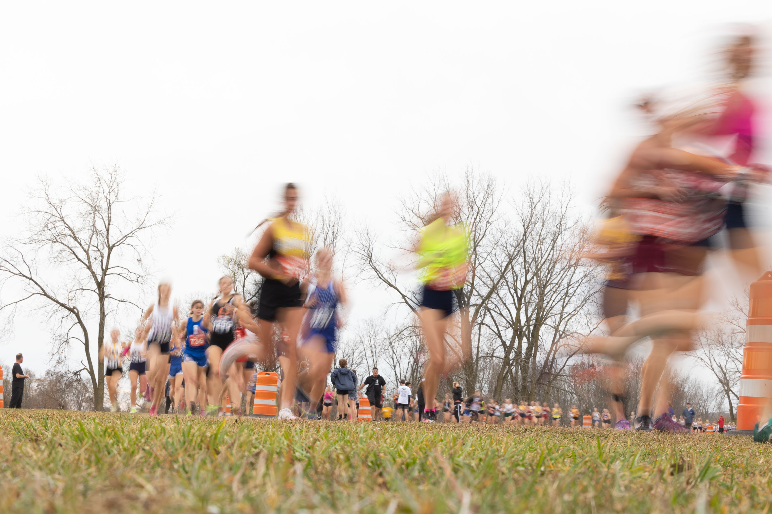 Division 2 girls Michigan state cross country championships 2022