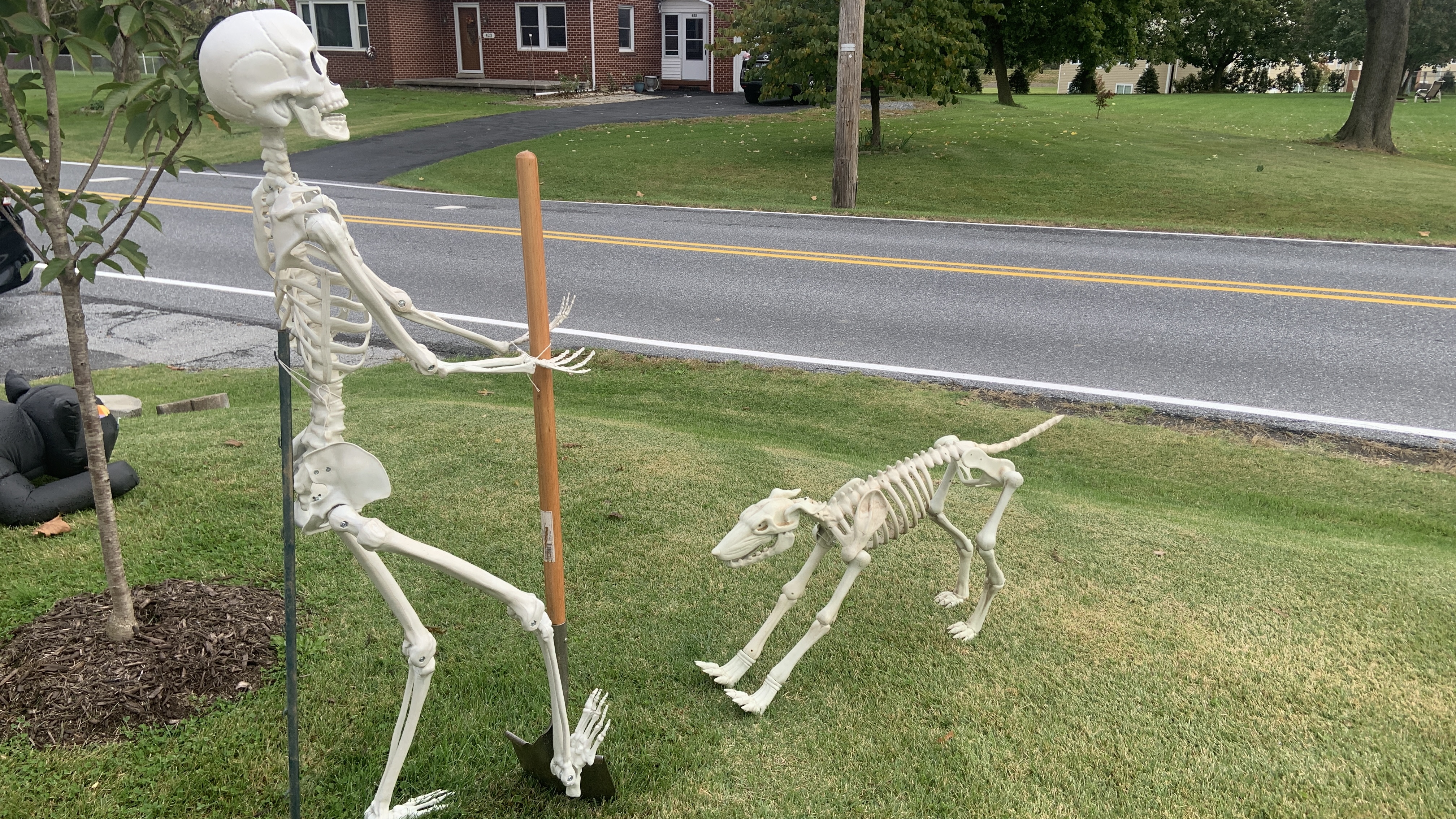 Homeowners Create Stories On Their Yards With Skeletons For Halloween -  Pennlive.Com