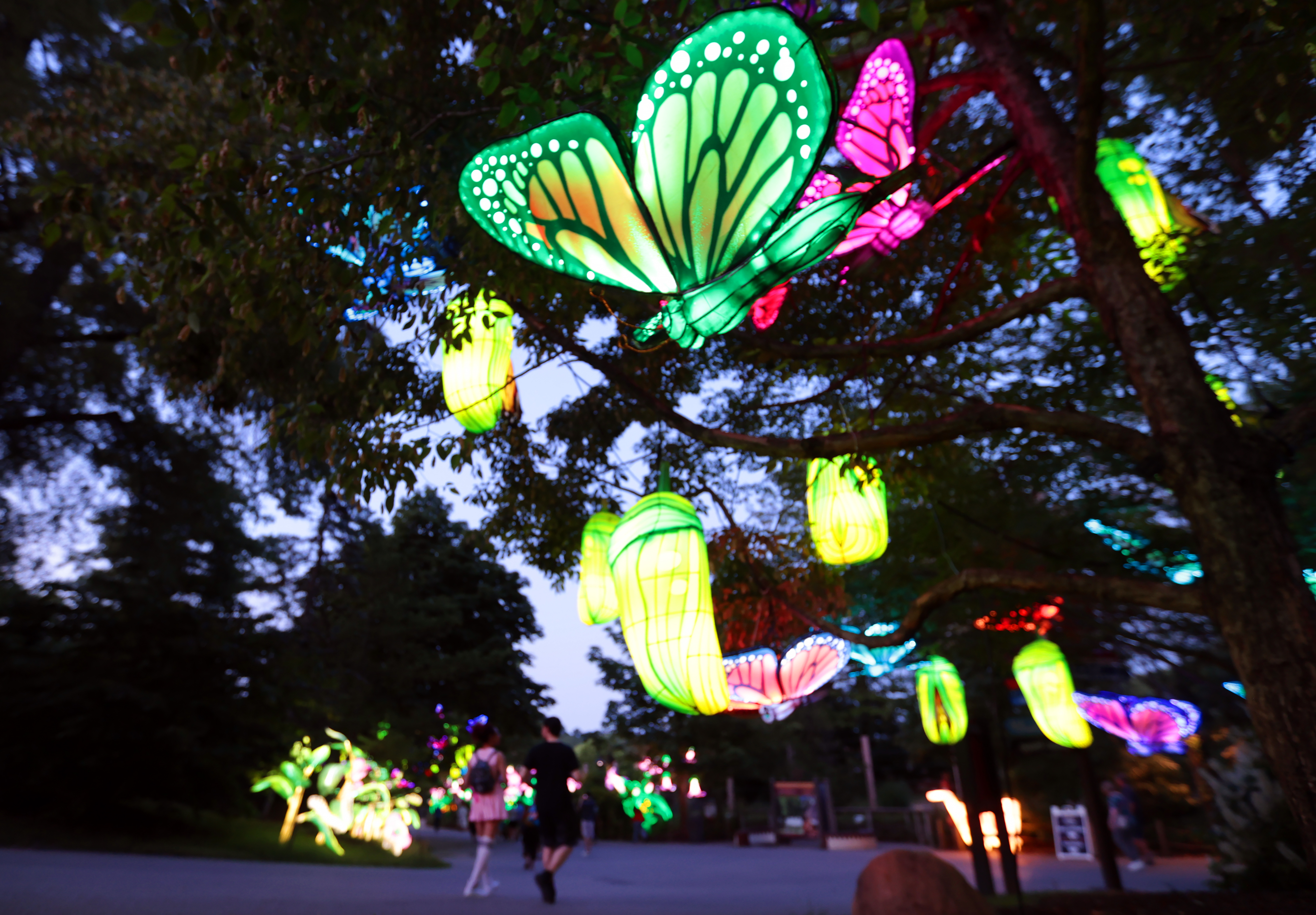 Asian Lantern Festival Returns To Cleveland Metroparks Zoo July 5 