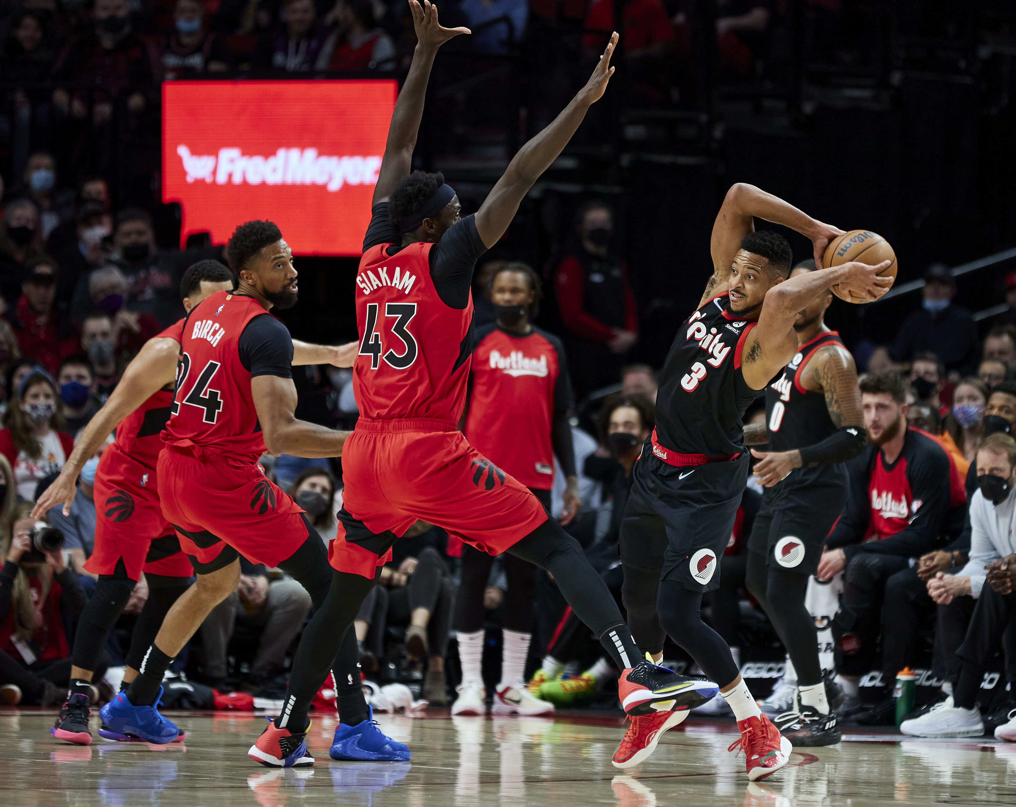 Чикаго портленд прогноз. Торонто Рэпторс игроки. Portland Trail Blazers. Toronto Raptors Arena. Скотти Крамп.