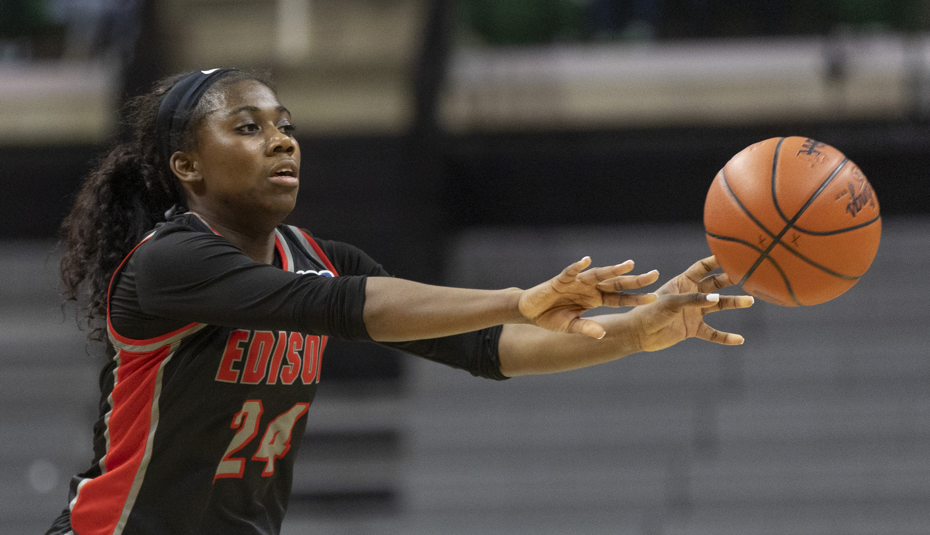Grand Rapids West Catholic battles Detroit Edison PSA in girls D2