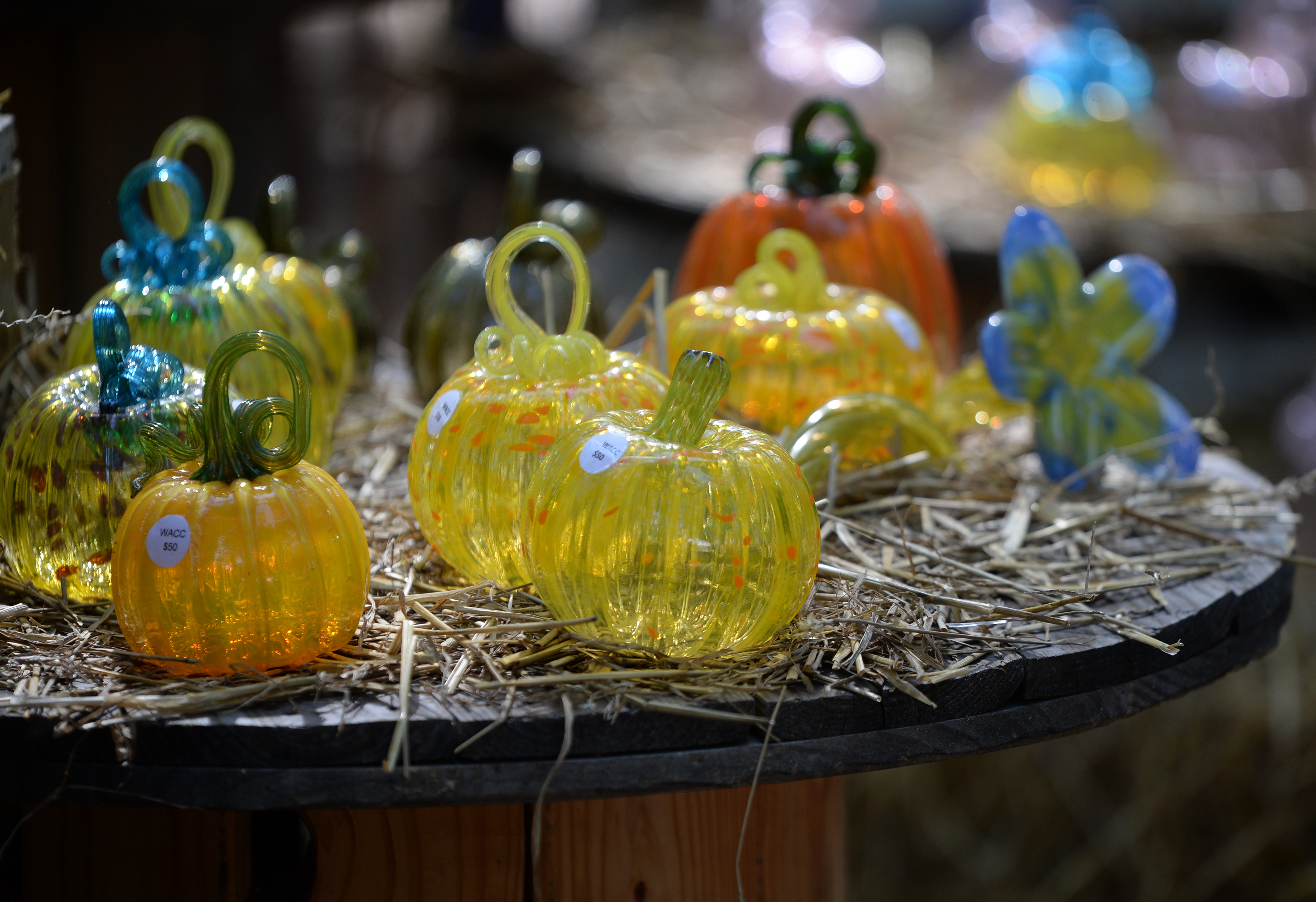 Handcrafted glass pumpkins are display in the glass pumpkin patch during the 22nd annual Festival of Fine Craft at Wheaton Arts in Millville, Saturday, Oct. 2, 2021.