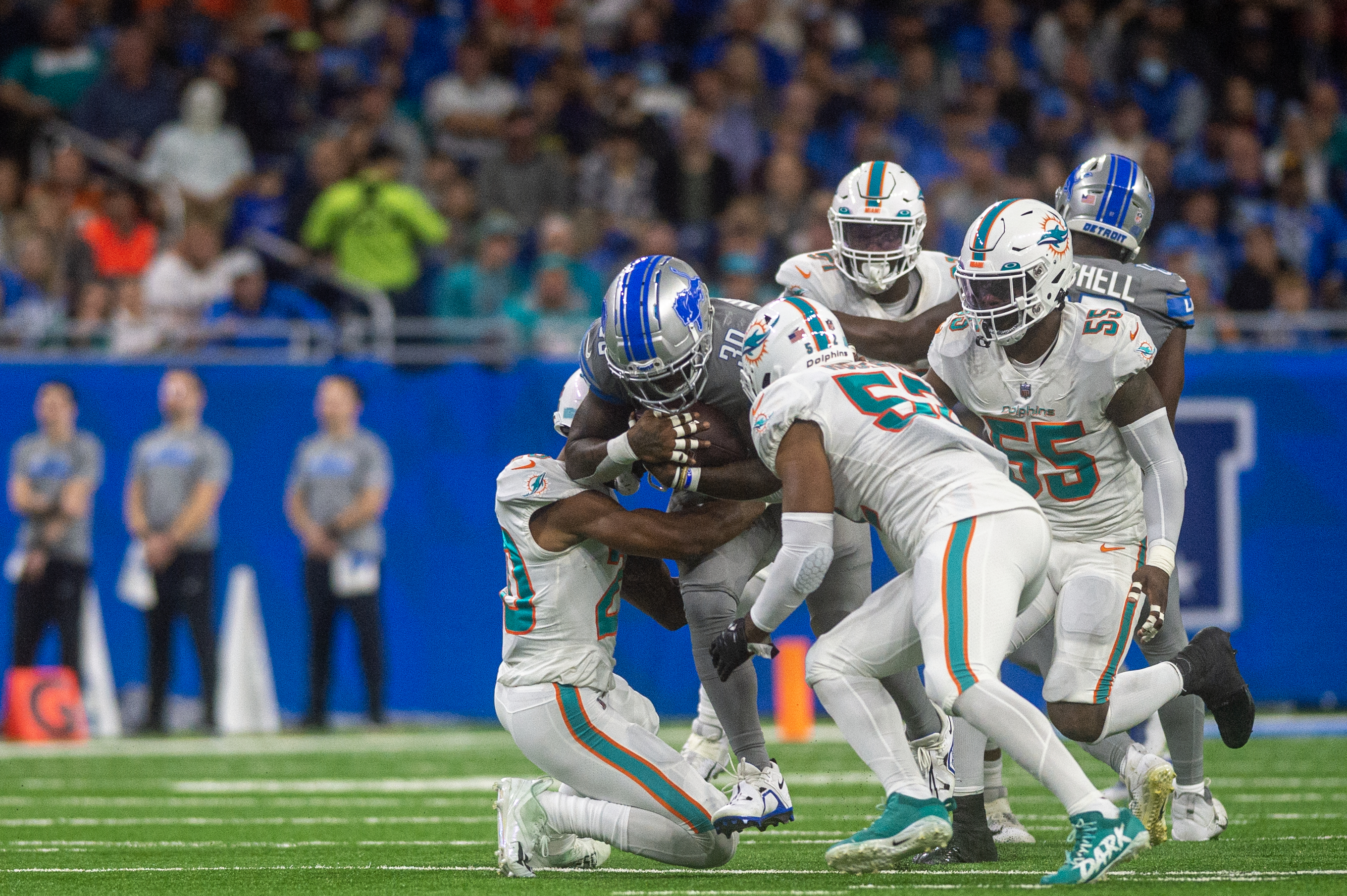 Miami Dolphins Week 8 fan confidence continues ride ahead of Detroit Lions  game - The Phinsider